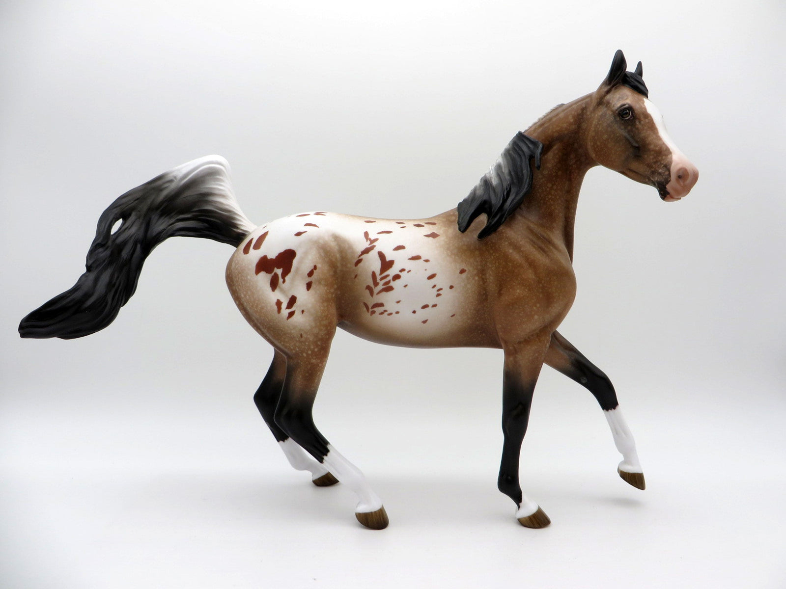 Kusama-OOAK Bay Appaloosa Arabian Mare Equilocity 2021 Painted by Audrey Dixon