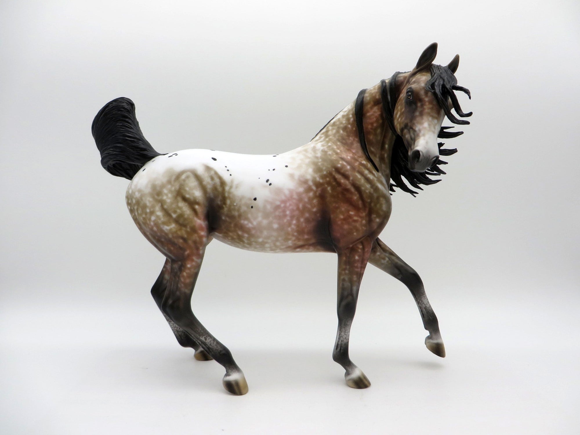 Kusama-OOAK Appaloosa Arabian Painted by Al EQ 21