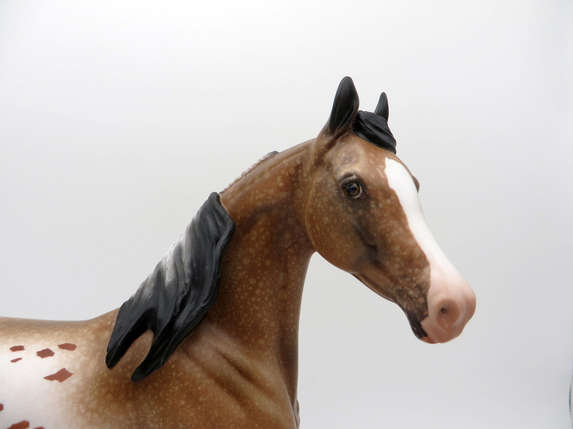 Kusama-OOAK Bay Appaloosa Arabian Mare Equilocity 2021 Painted by Audrey Dixon