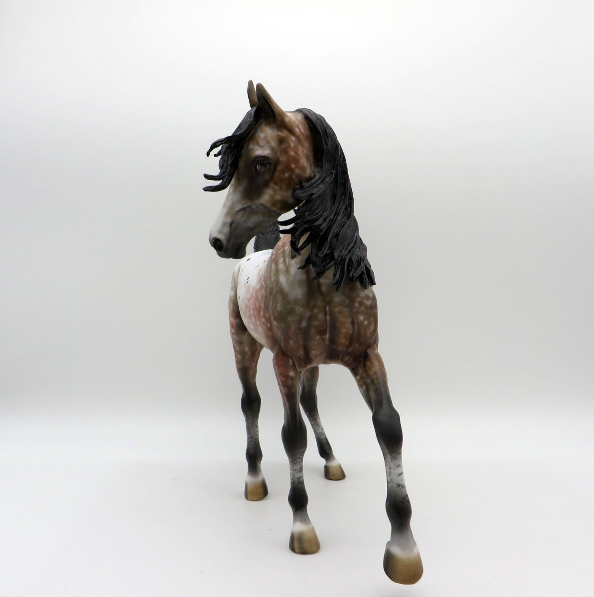 Kusama-OOAK Appaloosa Arabian Painted by Al EQ 21