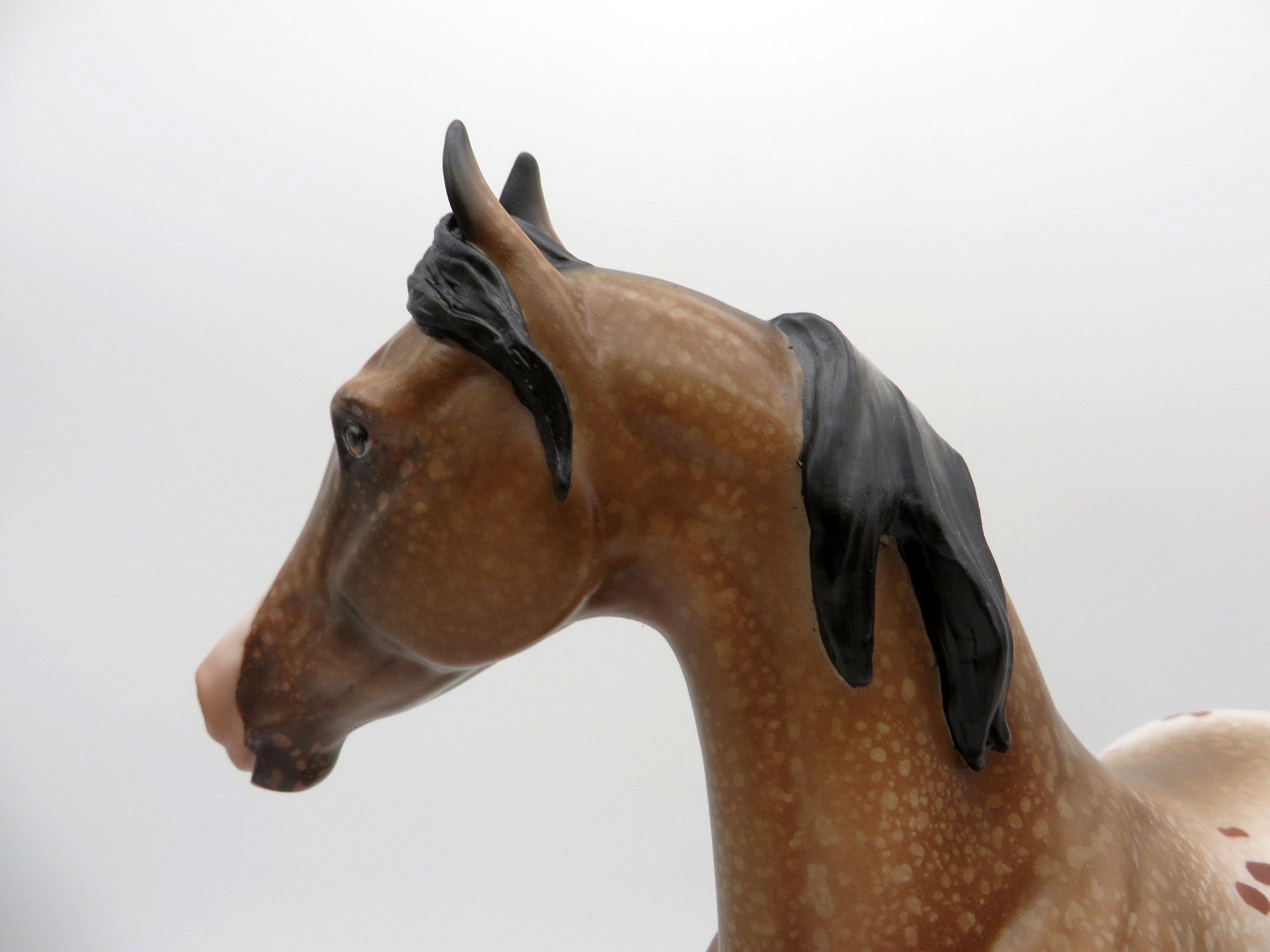 Kusama-OOAK Bay Appaloosa Arabian Mare Equilocity 2021 Painted by Audrey Dixon