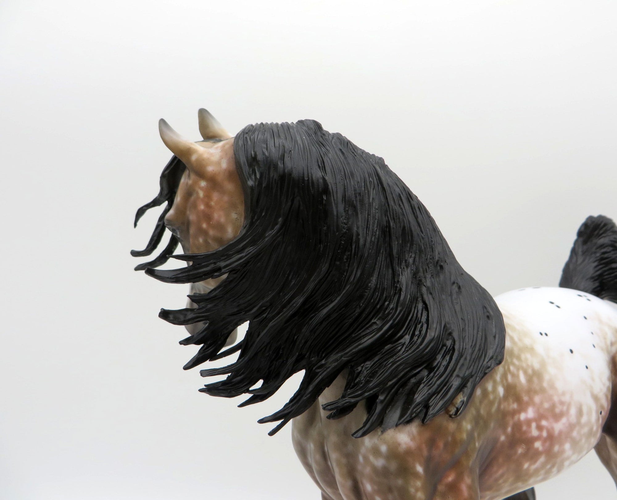 Kusama-OOAK Appaloosa Arabian Painted by Al EQ 21