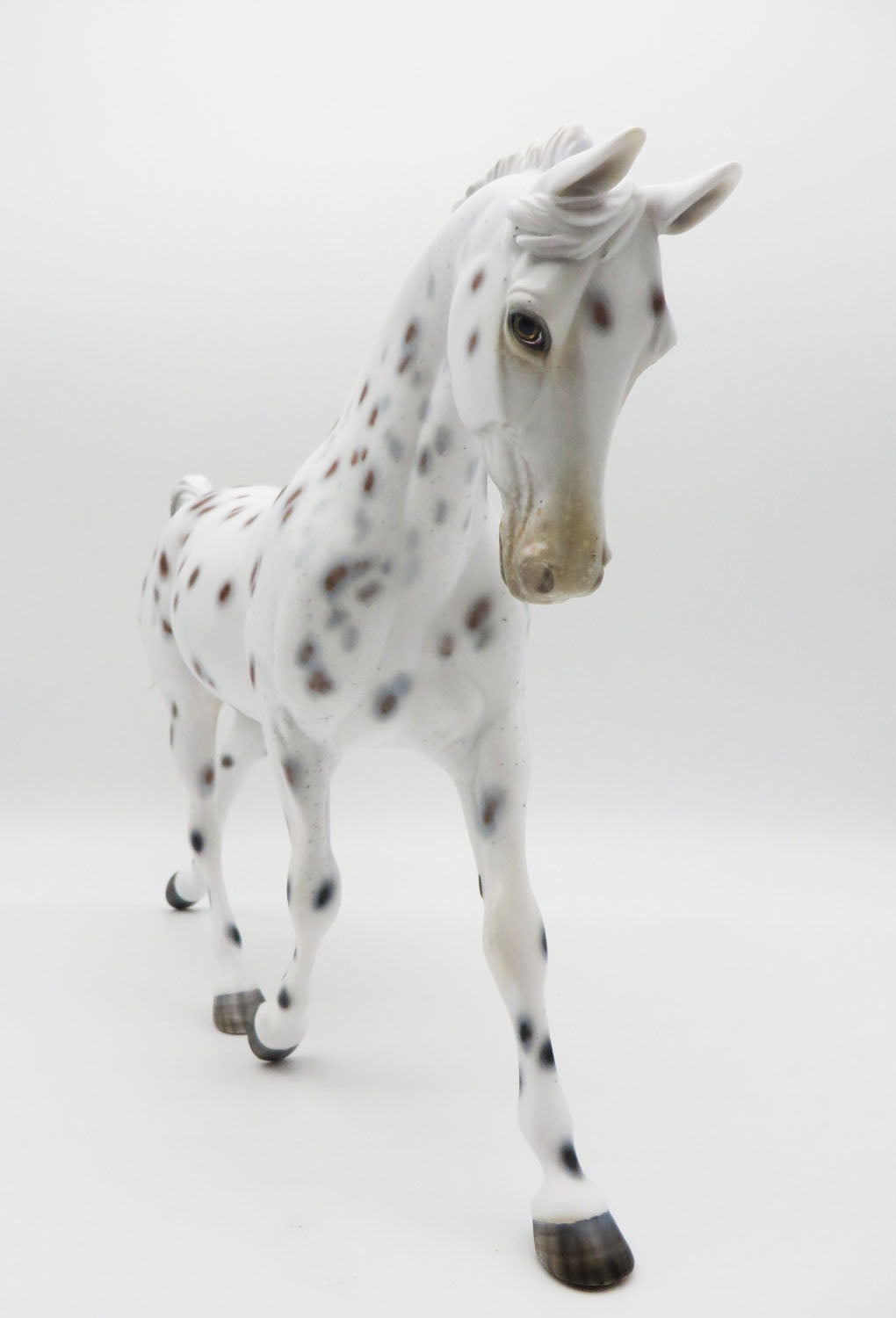 LET THE CHIPS FALL - OOAK - BAY LEOPARD APPALOOSA PALOUSE - PAINTED BY MYLA PEARCE BEST OFFER 9/30/22