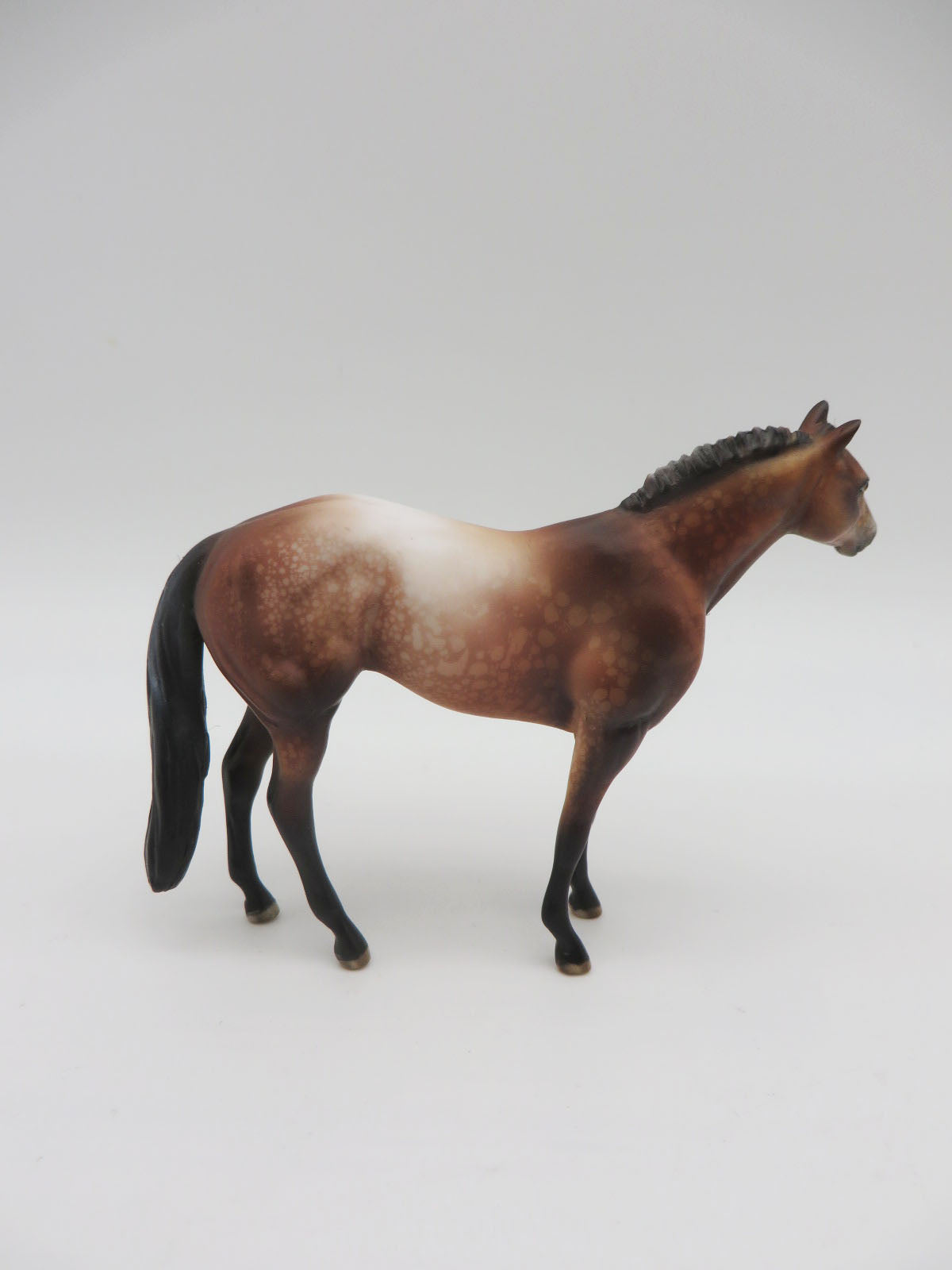 LUCY - LE 15 Bay Appaloosa Stock Chip by Julie Keim LHS 22