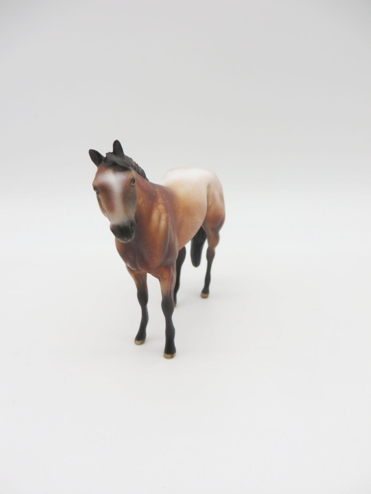 LUCY - LE 15 Bay Appaloosa Stock Chip by Julie Keim LHS 22