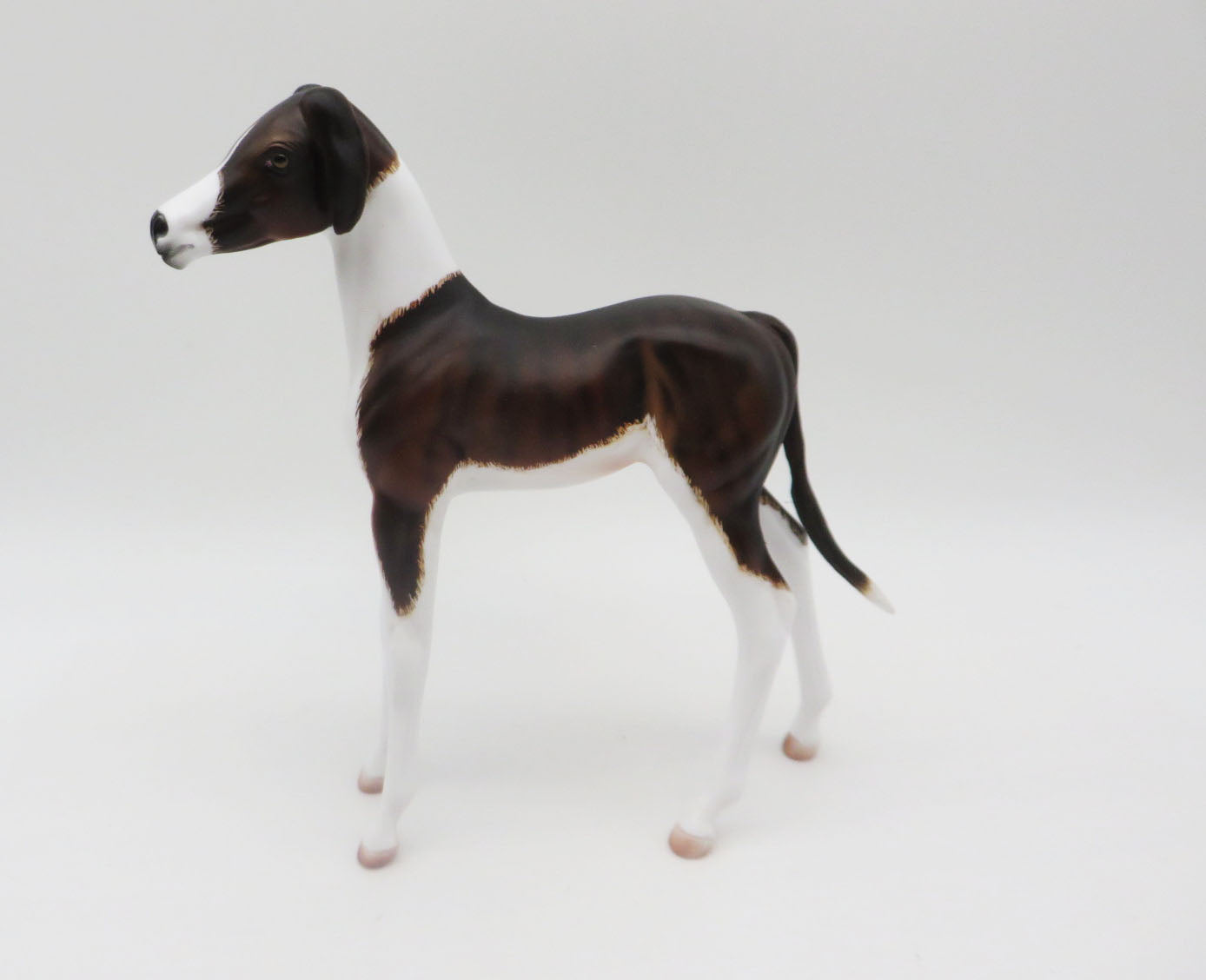 Ladi - OOAK - Hound Inspired Arab Foal By Dawn Quick - Best Offers 2/12/23 P&C 23