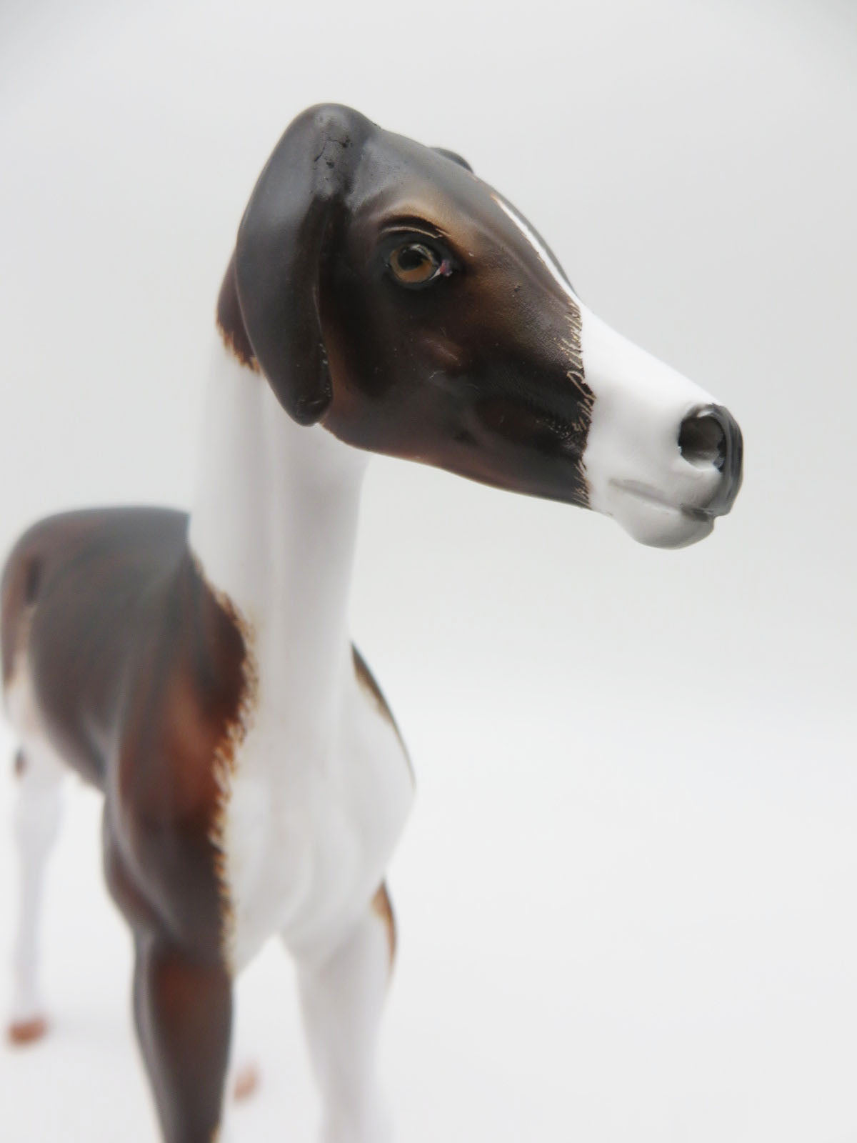 Ladi - OOAK - Hound Inspired Arab Foal By Dawn Quick - Best Offers 2/12/23 P&amp;C 23