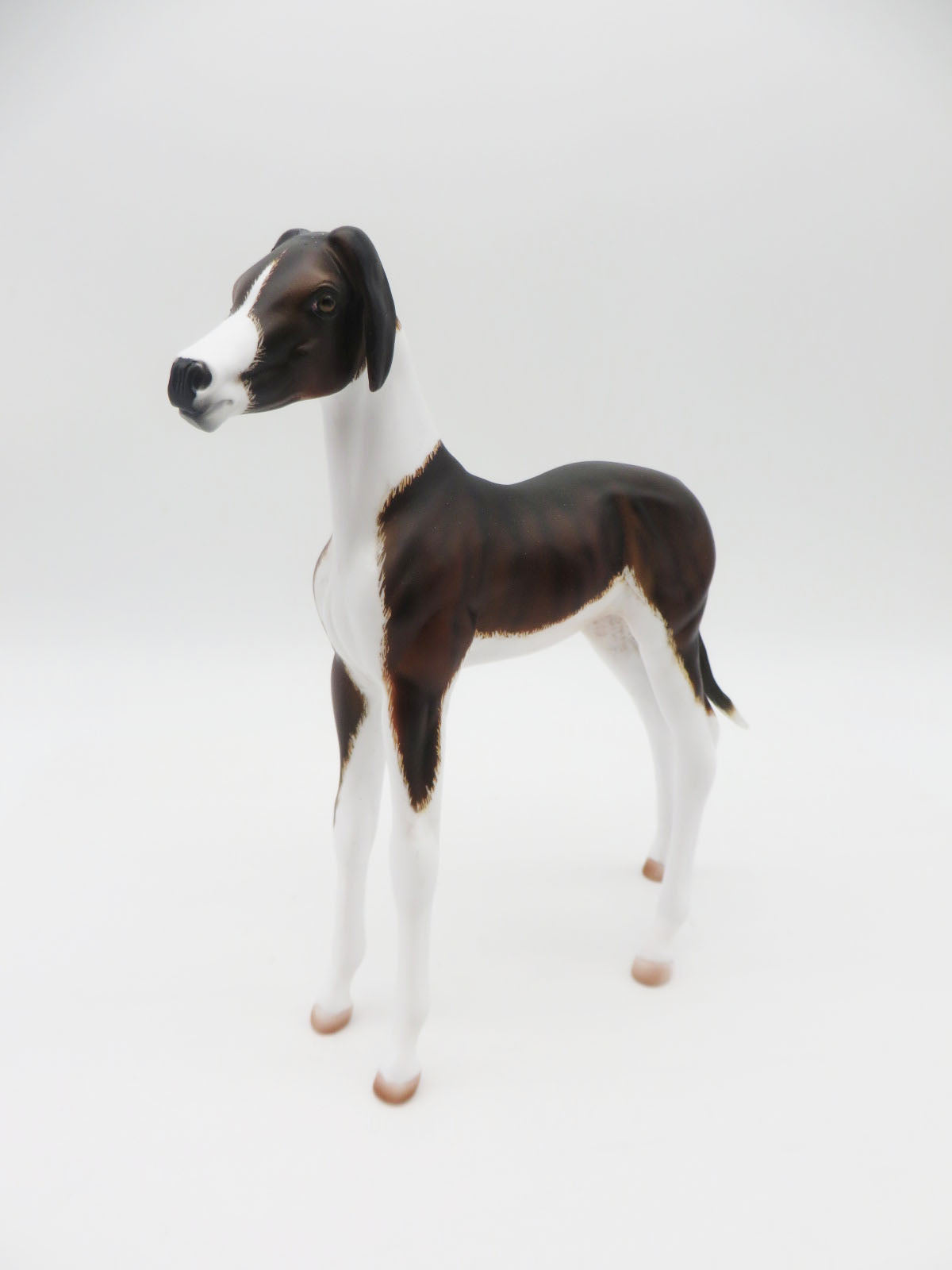 Ladi - OOAK - Hound Inspired Arab Foal By Dawn Quick - Best Offers 2/12/23 P&amp;C 23