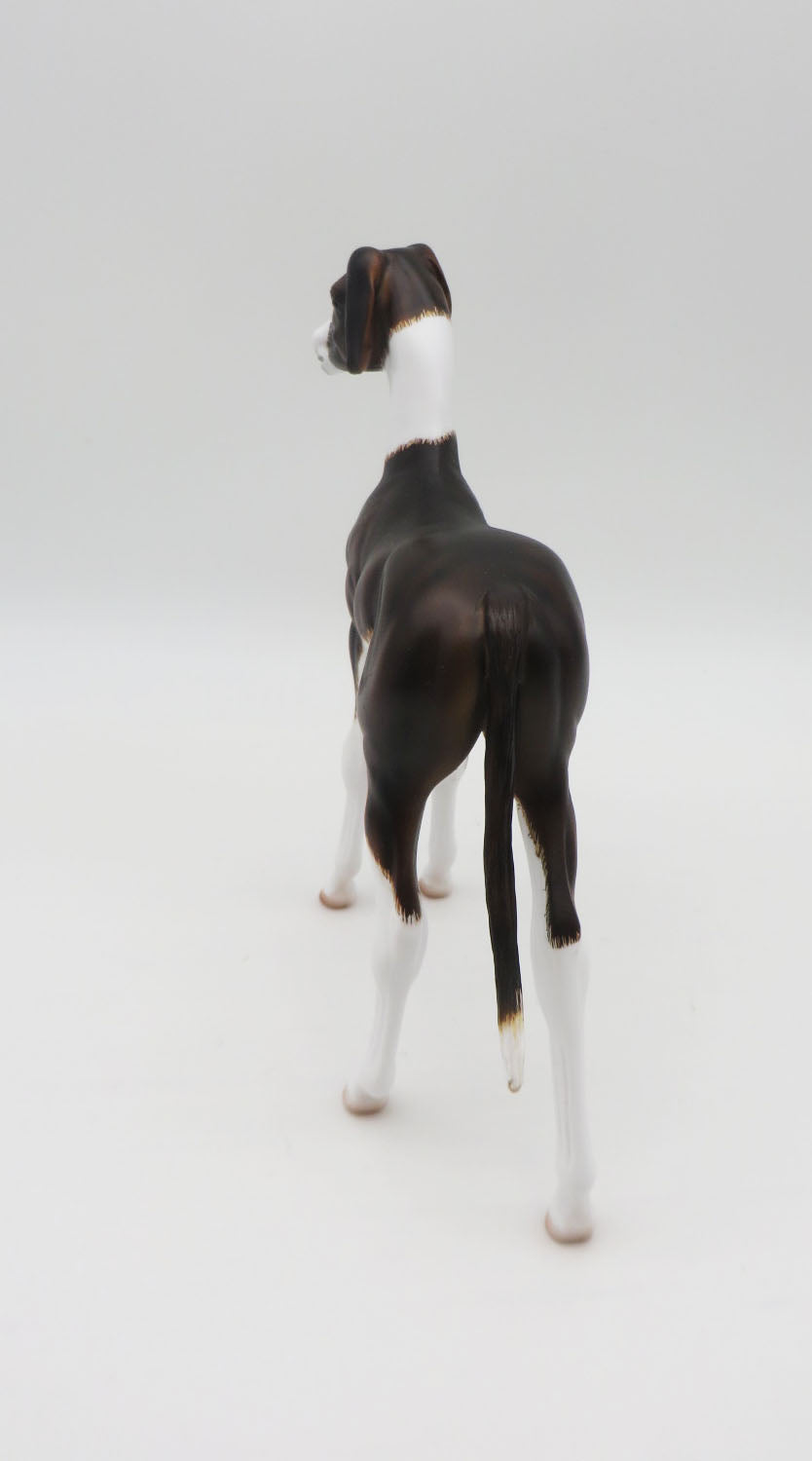 Ladi - OOAK - Hound Inspired Arab Foal By Dawn Quick - Best Offers 2/12/23 P&amp;C 23