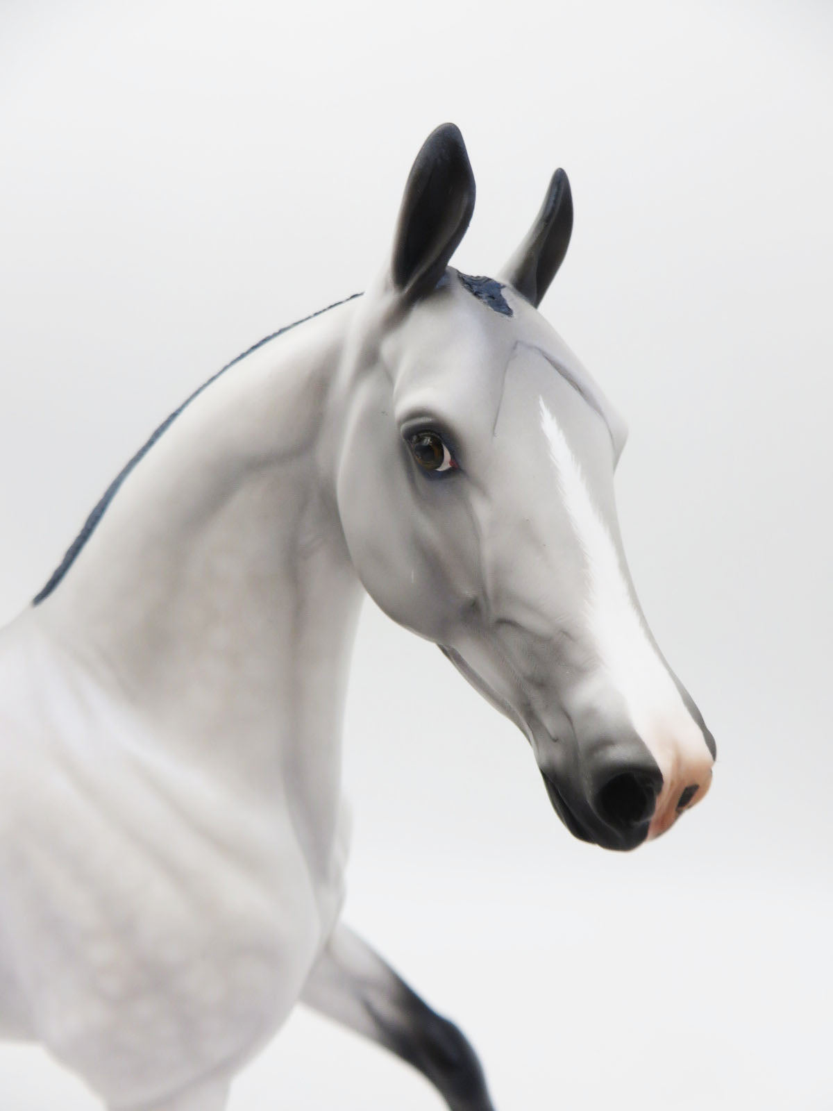 Lady Gray - OOAK - Dapple Gray Arabian Mare by Angela Marleau - P&amp;C 23