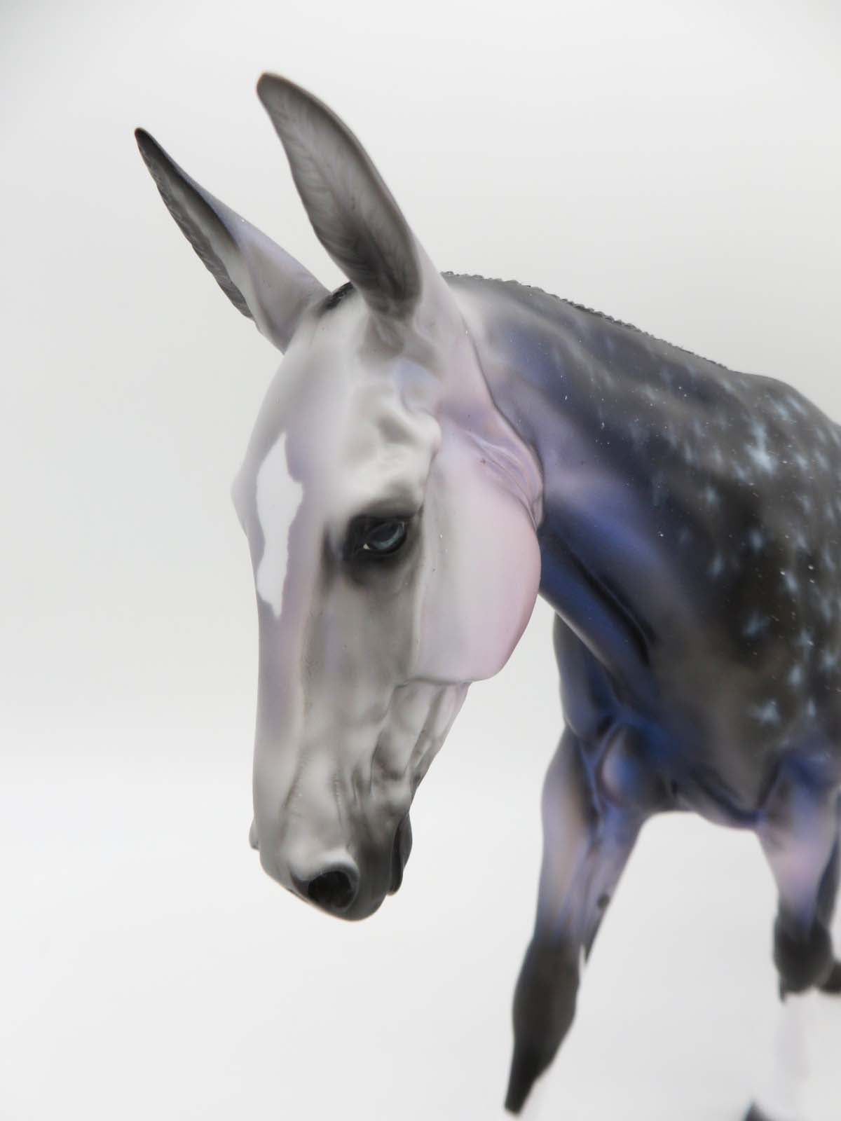 Laika - OOAK - Night Sky Decorator By Ellen Robbins - P&amp;C 23