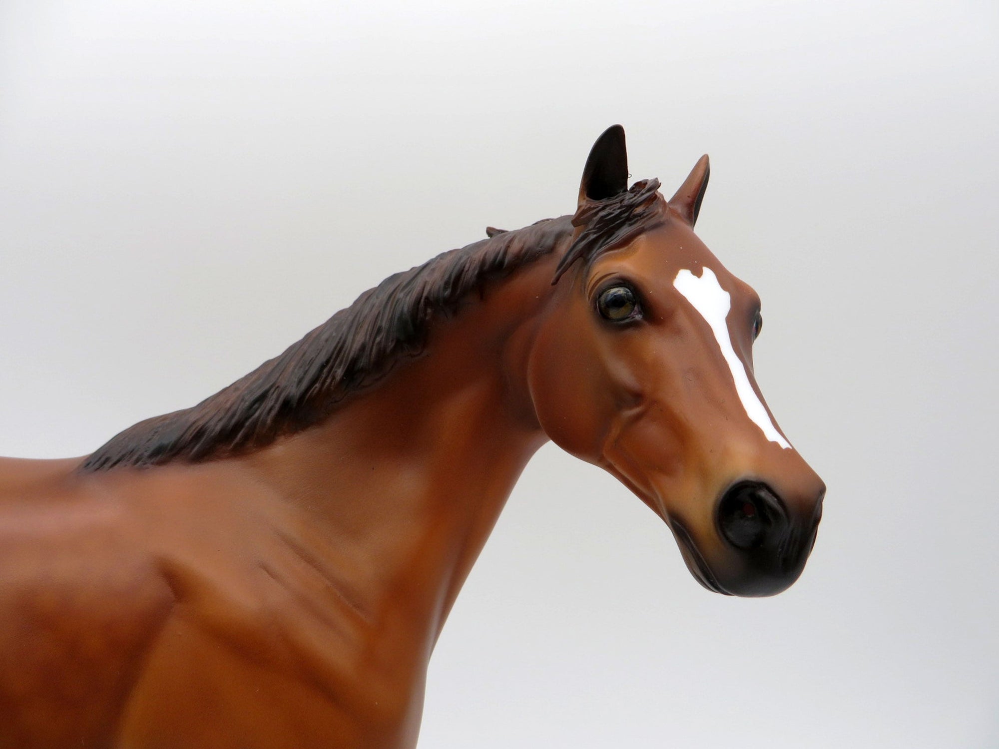 Lainey and Jenna Chestnut ISH and Foal Set 4/23/21