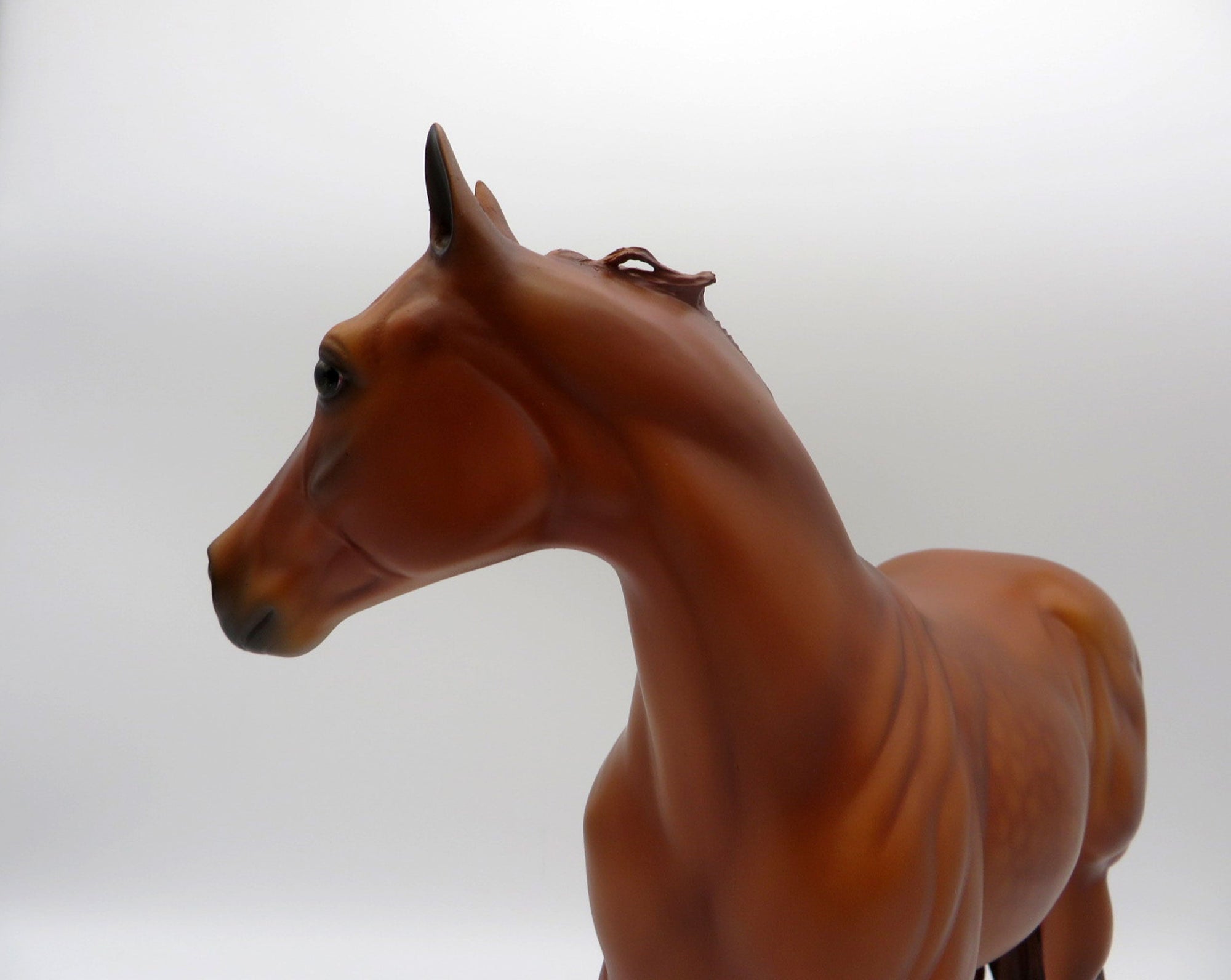 Lainey and Jenna Chestnut ISH and Foal Set 4/23/21