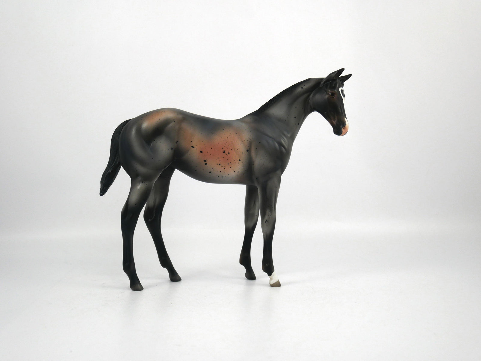 Lamb Chop-OOAK Roan Weanling  Model Horse 1/20/21