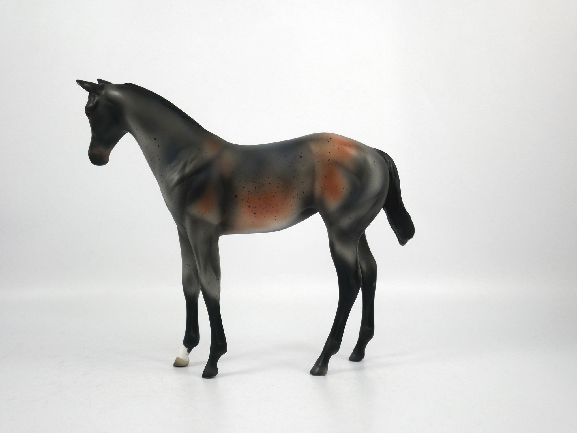 Lamb Chop-OOAK Roan Weanling  Model Horse 1/20/21