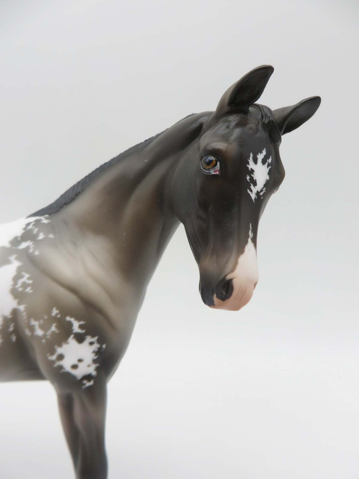Landslide-OOAK Etched Grulla Pinto Weanling Painted By Jess- SHCF23