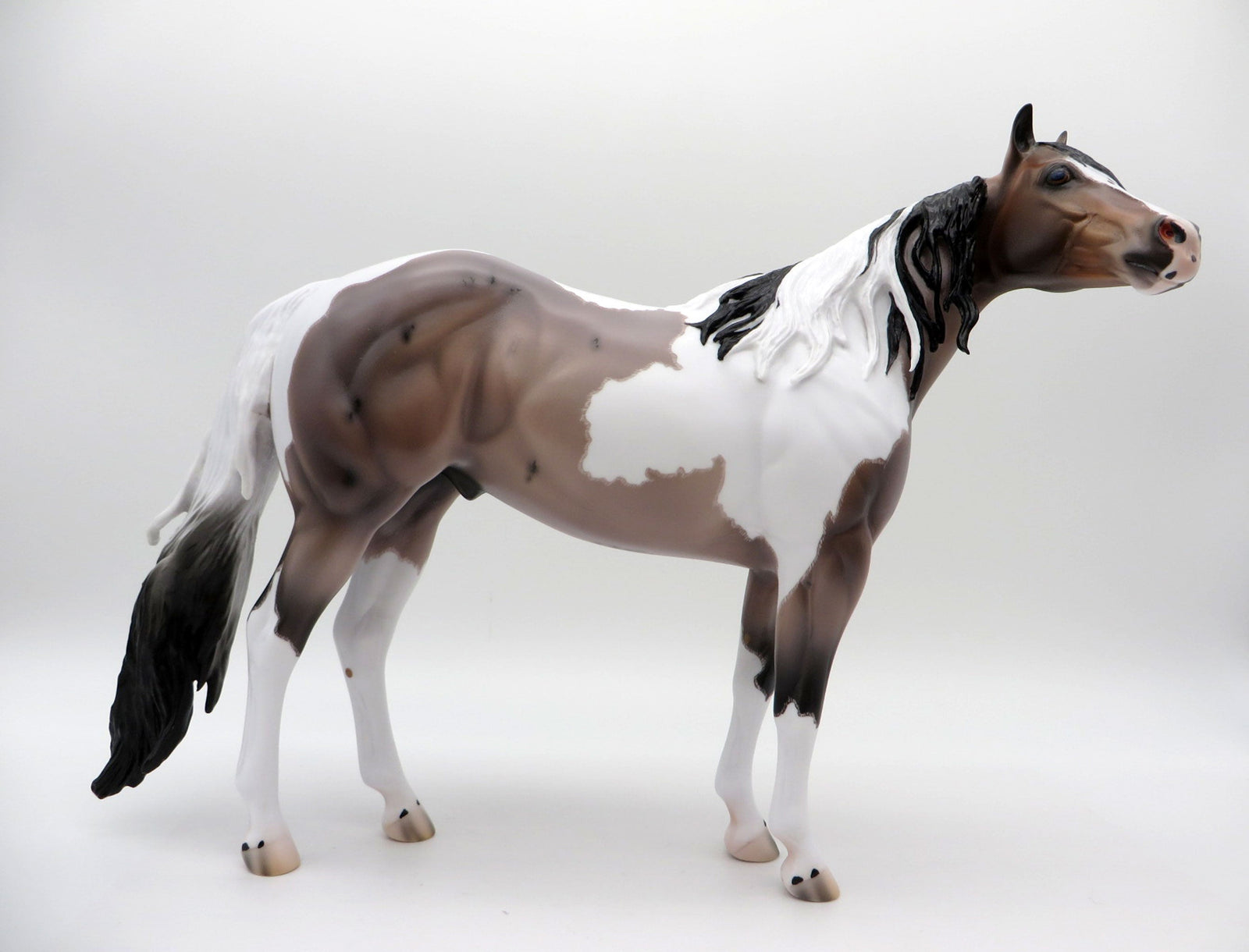 Langley-OOAK Blue Roan ISH Paint Painted By Caroline Boydston 6/28/21