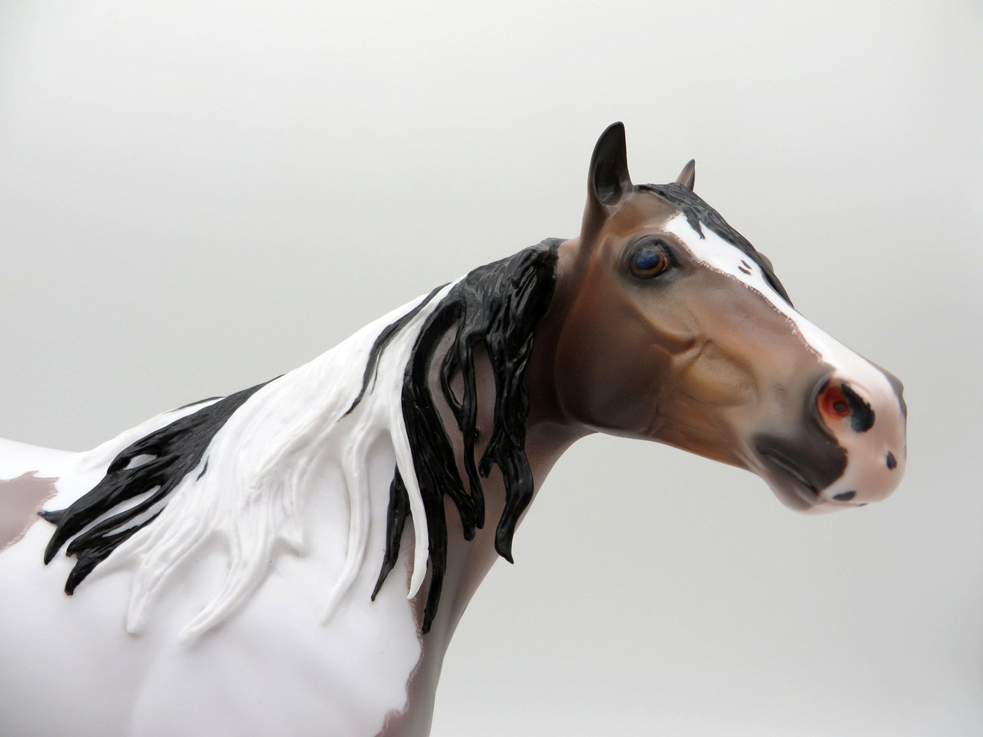 Langley-OOAK Blue Roan ISH Paint Painted By Caroline Boydston 6/28/21