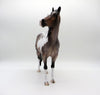 Langley-OOAK Blue Roan ISH Paint Painted By Caroline Boydston 6/28/21