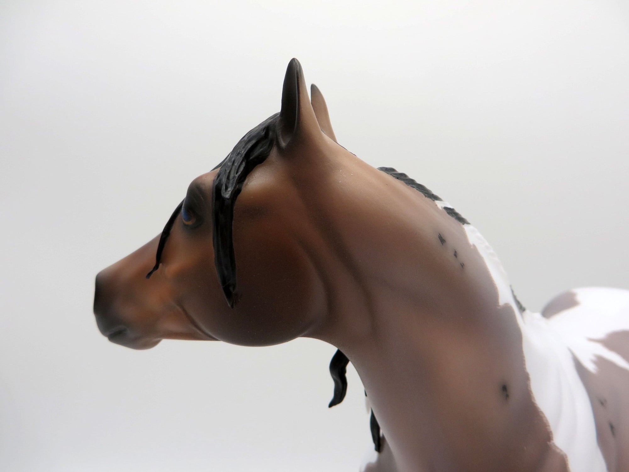 Langley-OOAK Blue Roan ISH Paint Painted By Caroline Boydston 6/28/21