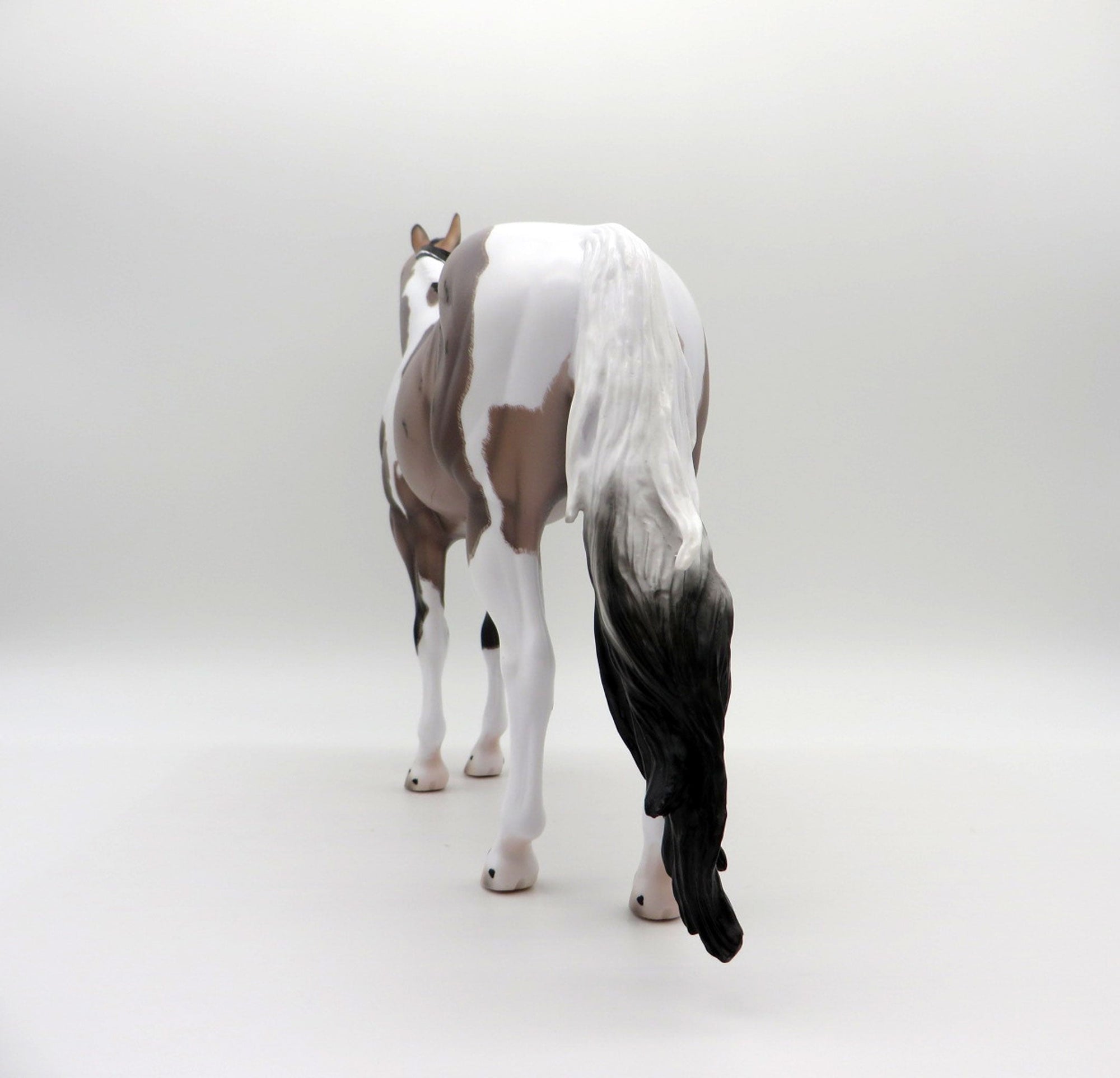 Langley-OOAK Blue Roan ISH Paint Painted By Caroline Boydston 6/28/21