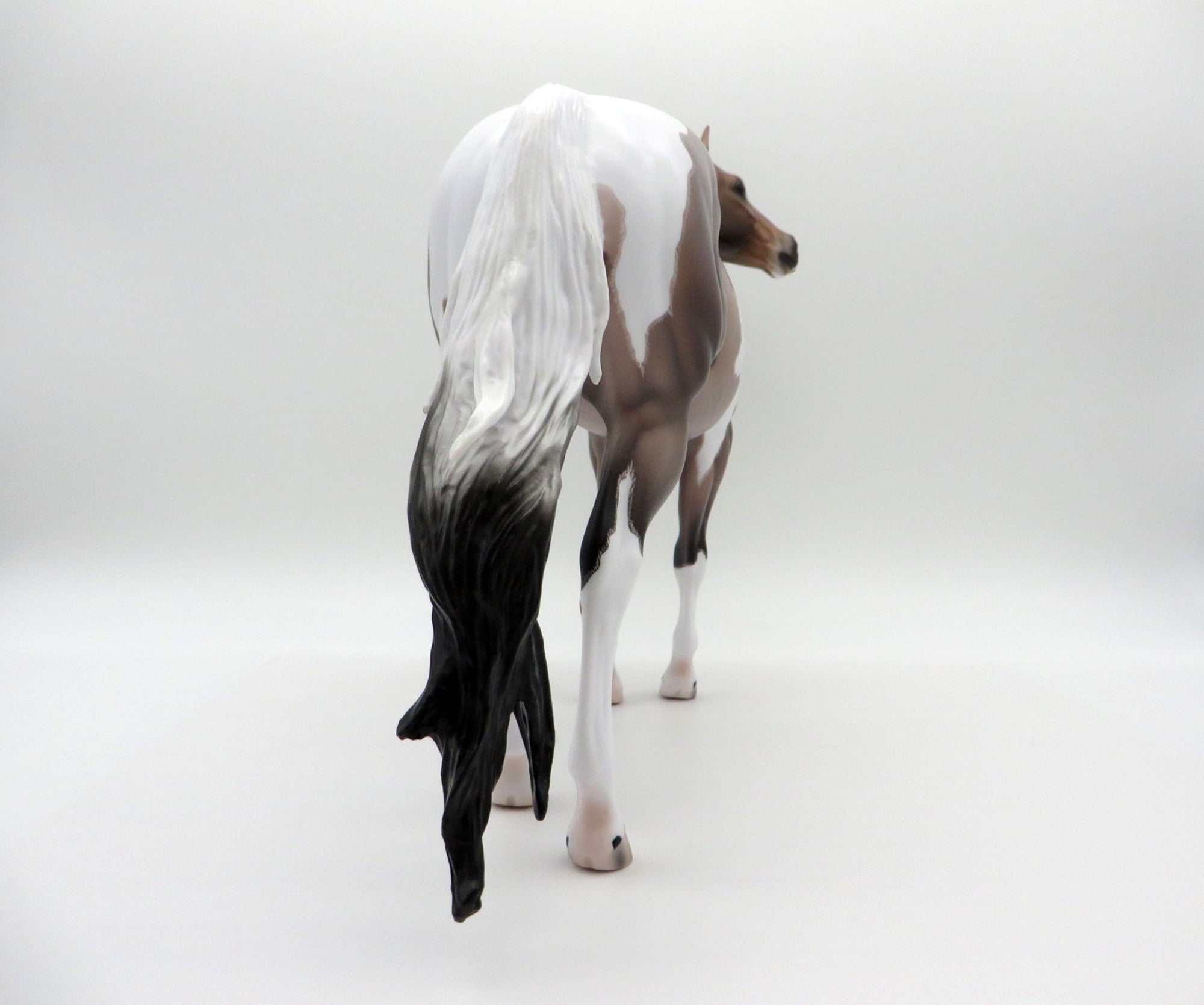 Langley-OOAK Blue Roan ISH Paint Painted By Caroline Boydston 6/28/21