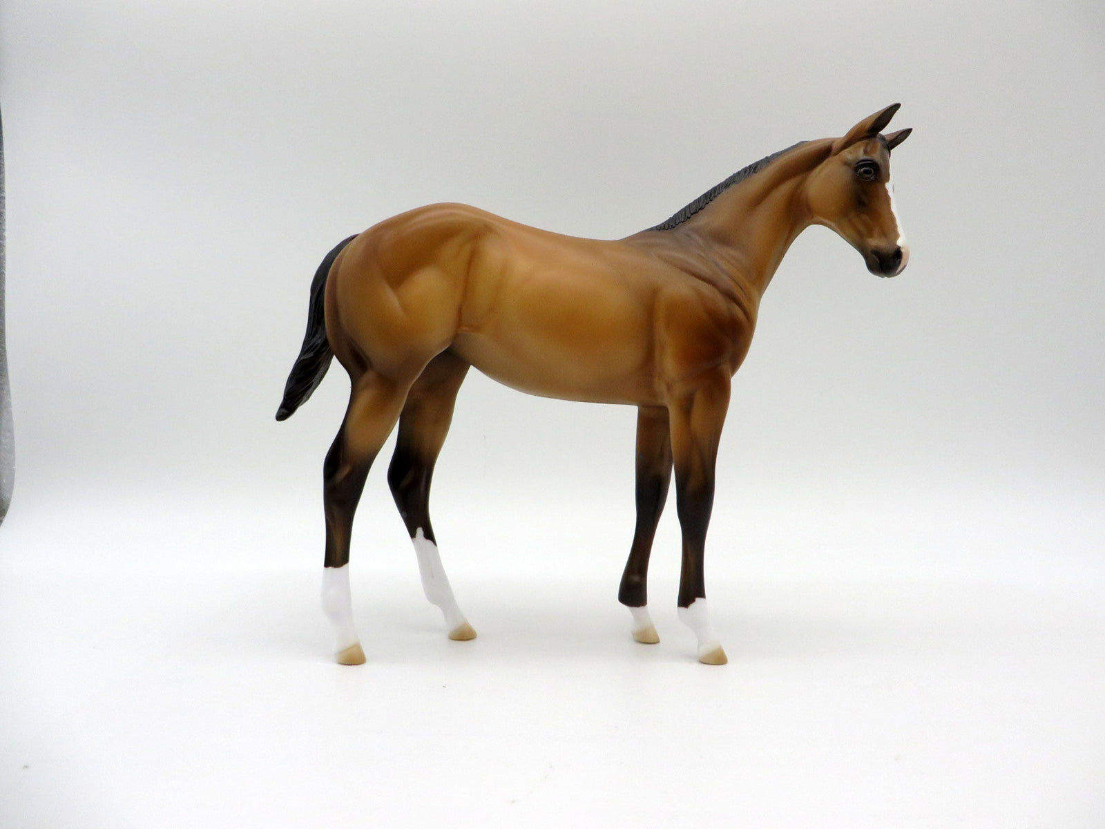 Lapras-OOAK Buckskin Weanling Painted By Ellen Robbins 5/14/21