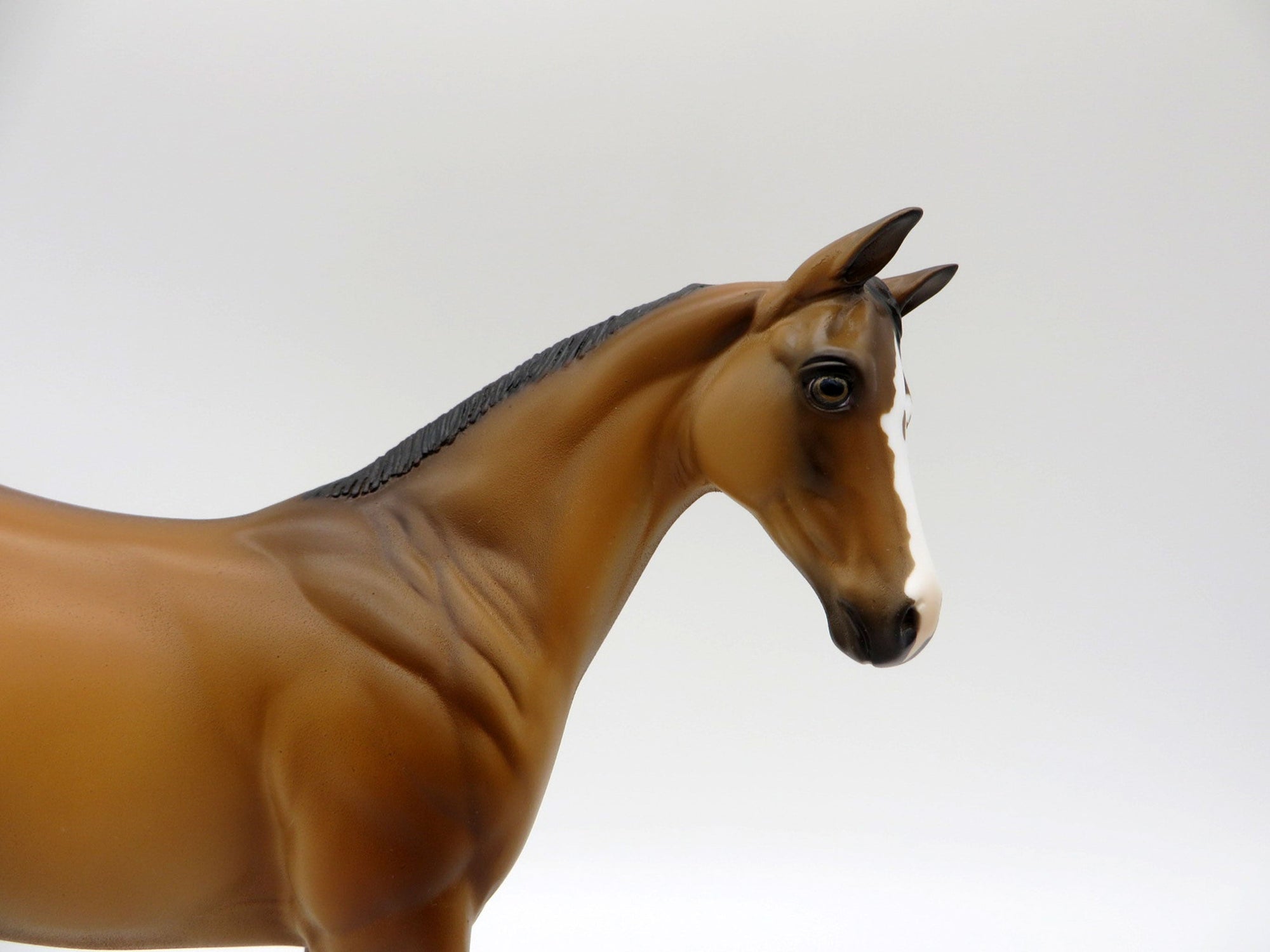 Lapras-OOAK Buckskin Weanling Painted By Ellen Robbins 5/14/21