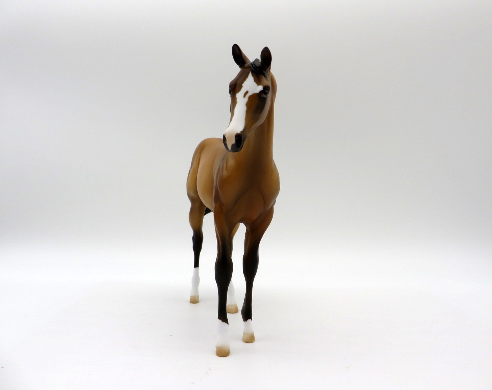 Lapras-OOAK Buckskin Weanling Painted By Ellen Robbins 5/14/21