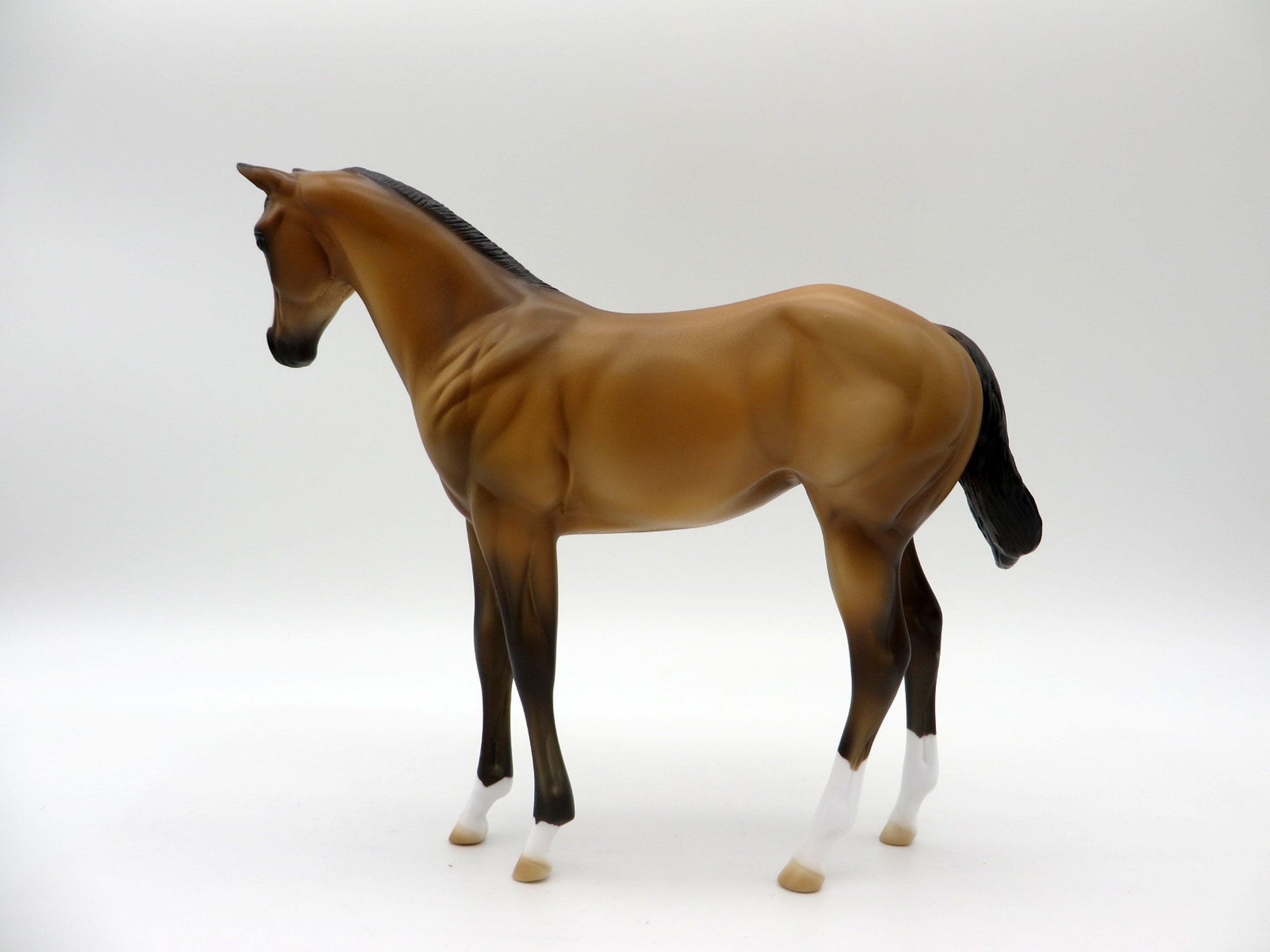 Lapras-OOAK Buckskin Weanling Painted By Ellen Robbins 5/14/21