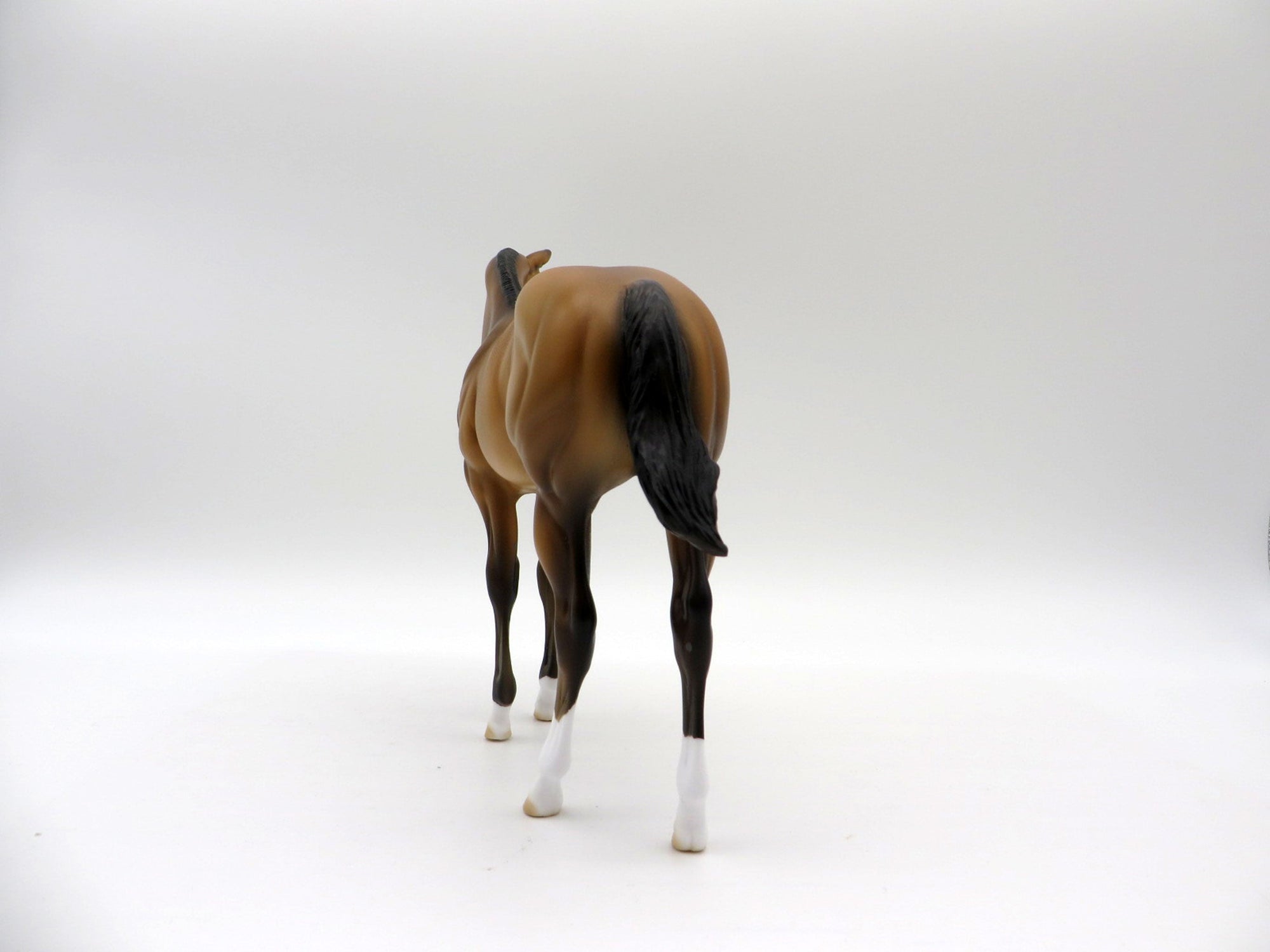 Lapras-OOAK Buckskin Weanling Painted By Ellen Robbins 5/14/21