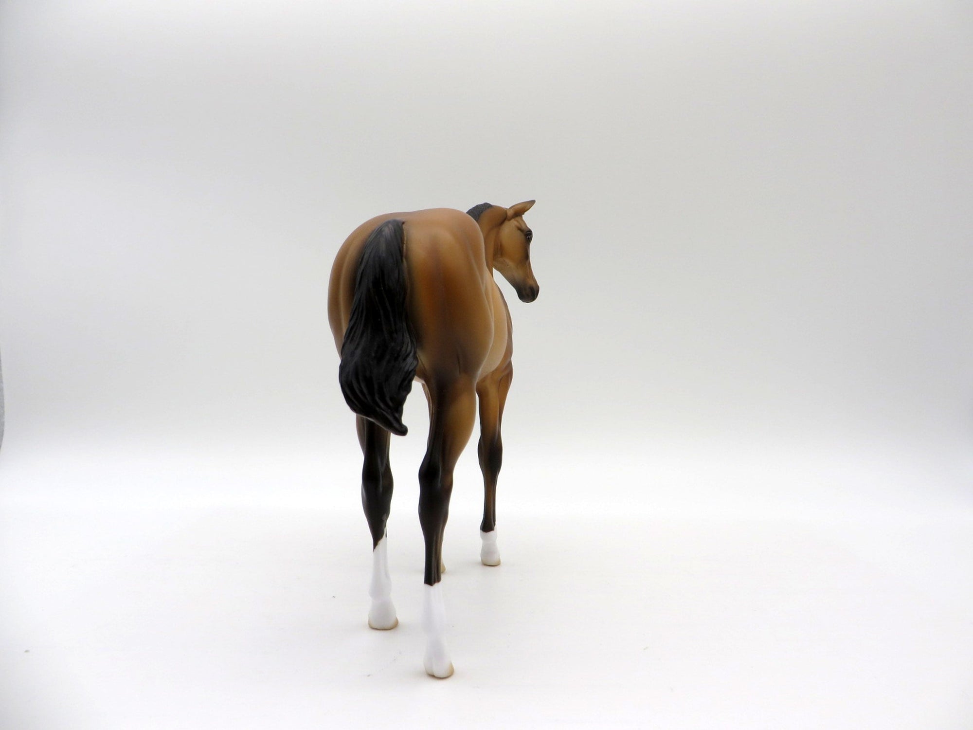 Lapras-OOAK Buckskin Weanling Painted By Ellen Robbins 5/14/21