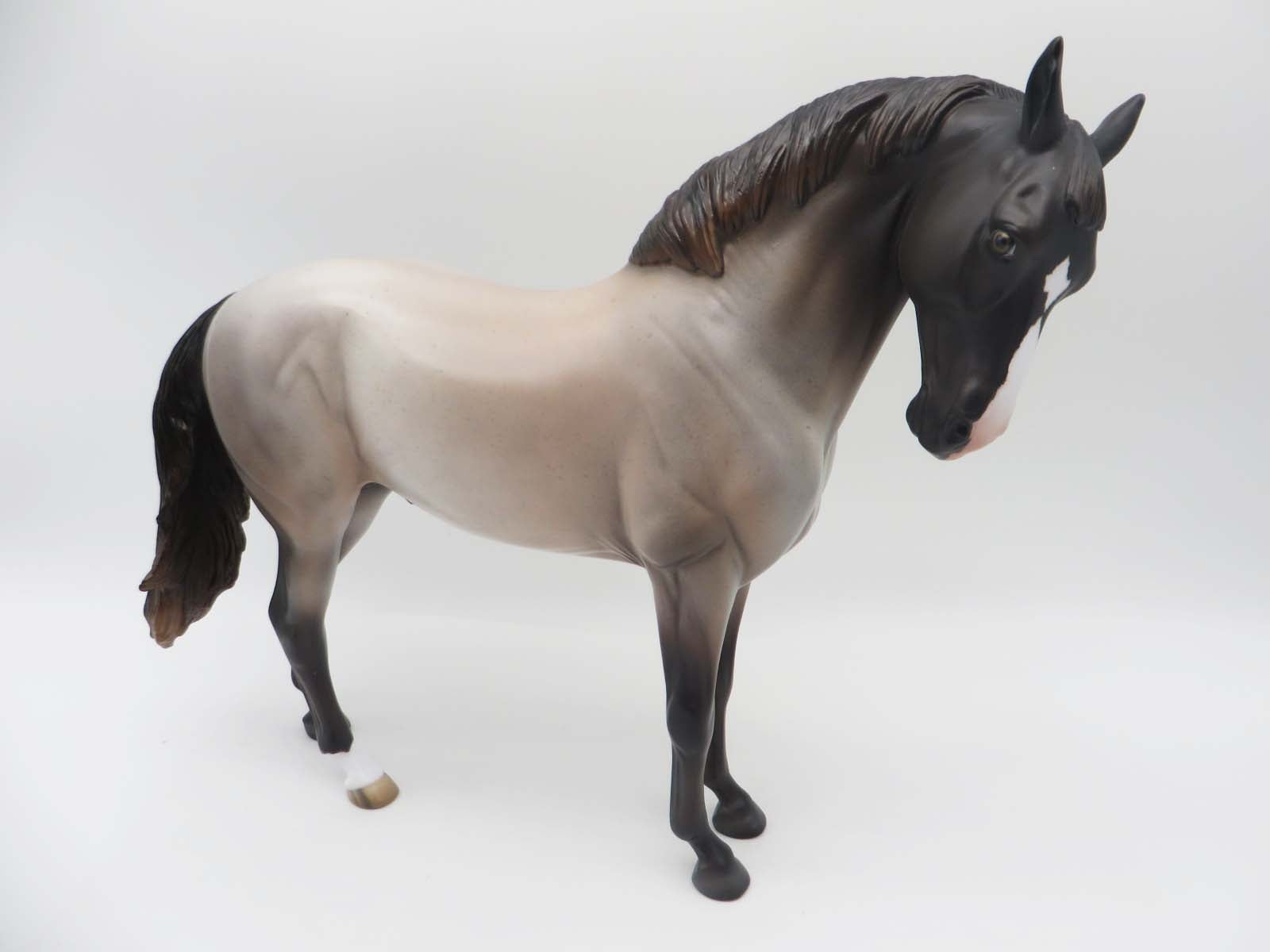 Laramie Plainsman - OOAK - Chocolate Roan Andalusian By Jess Hamill - SHCF23