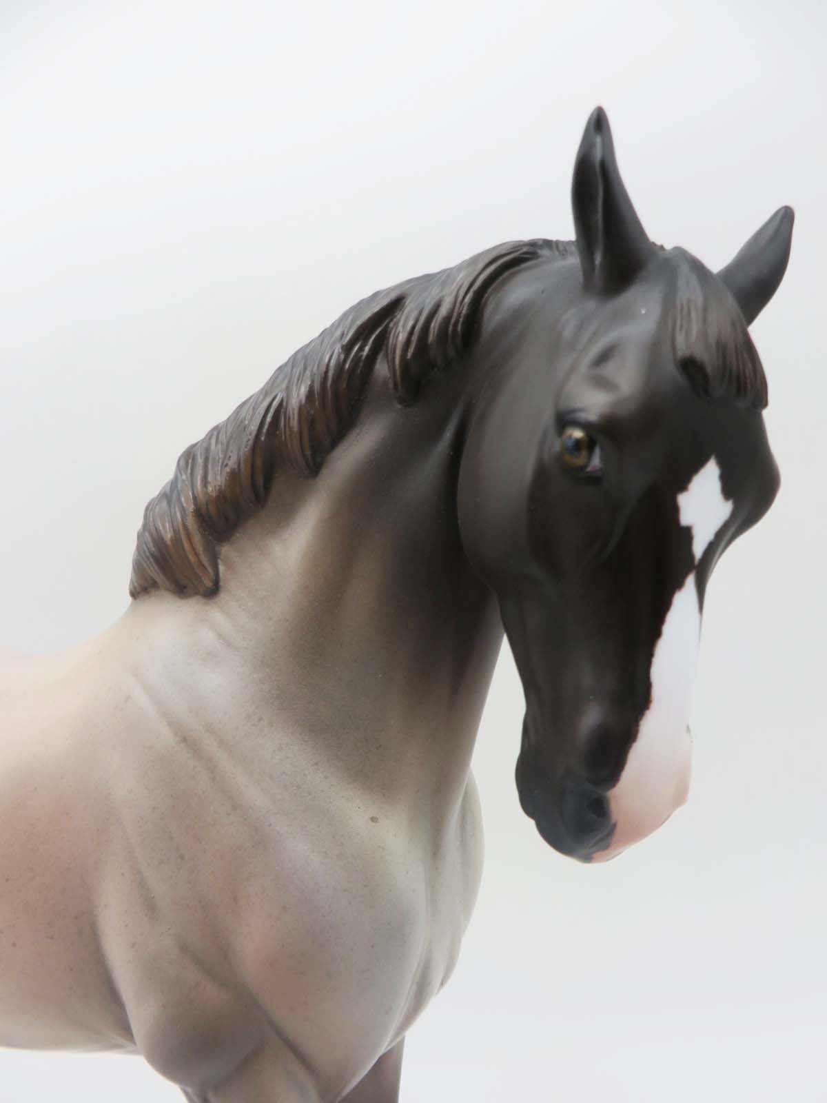 Laramie Plainsman - OOAK - Chocolate Roan Andalusian By Jess Hamill - SHCF23