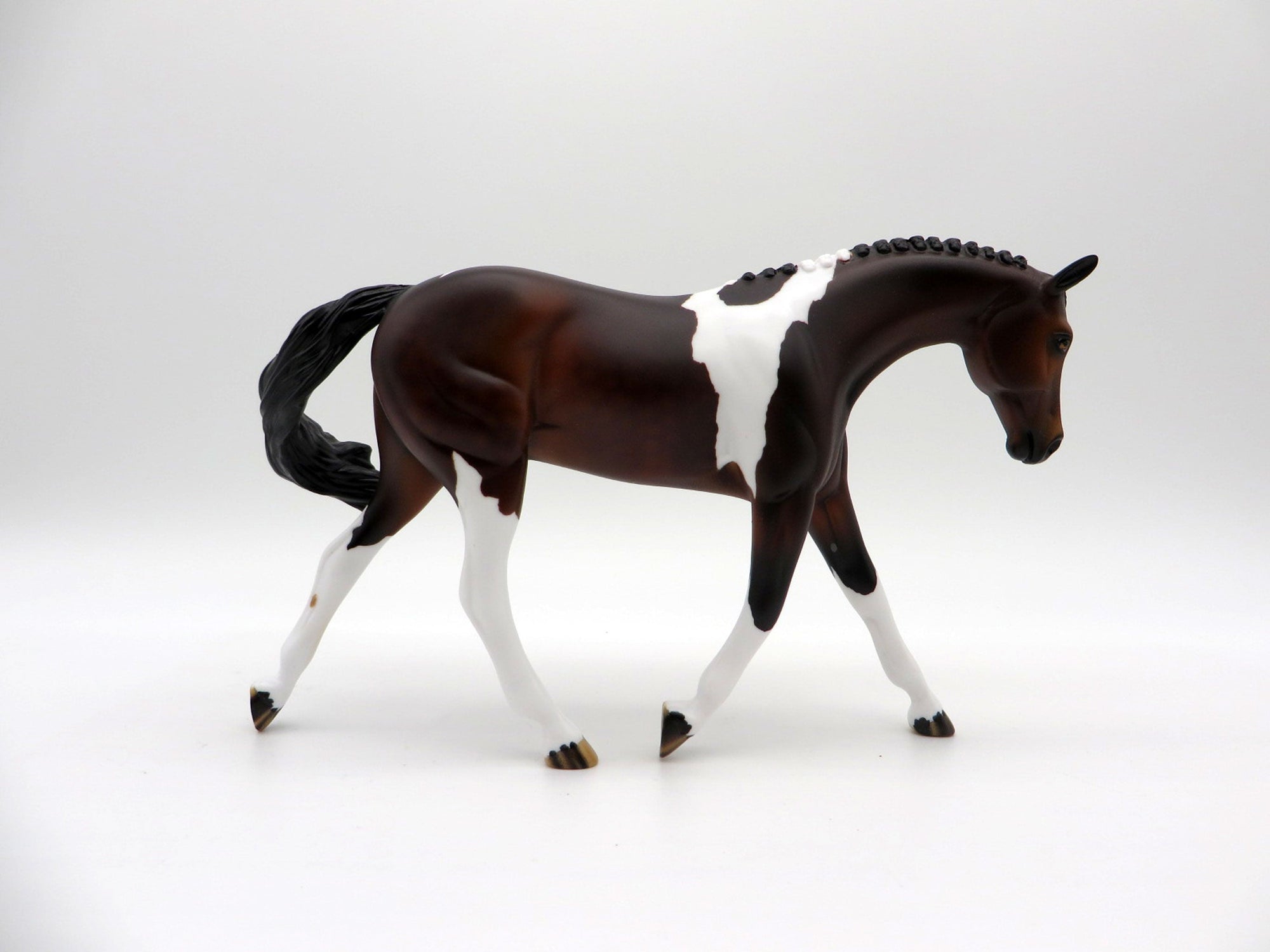 Larkspur-LE-7 Bay Paint Warmblood Pebbles  SHCF 2021