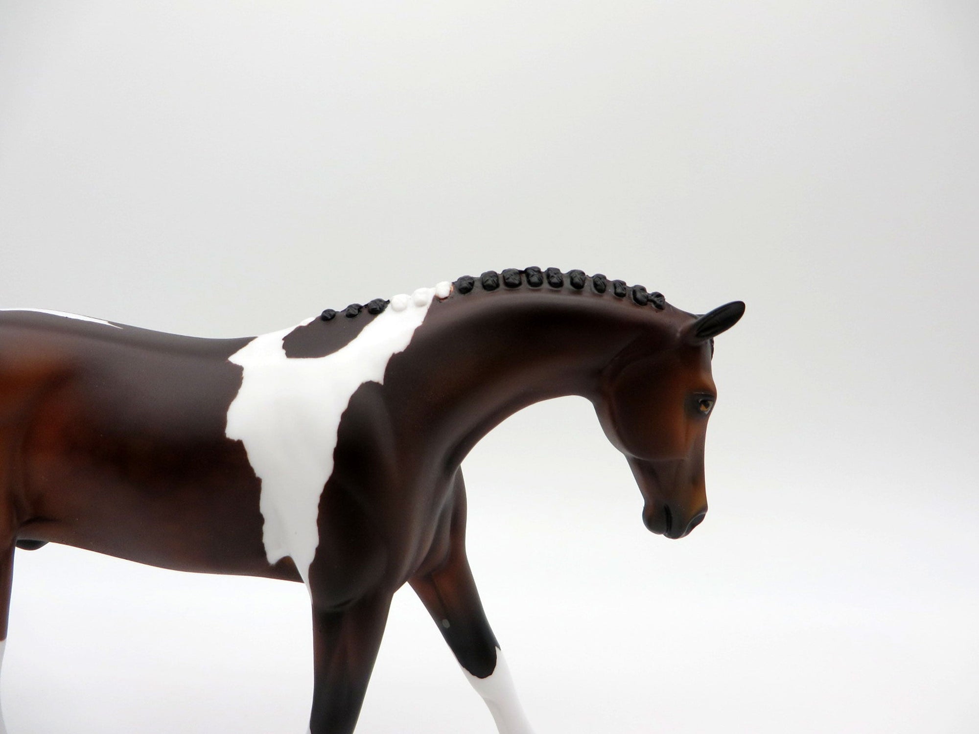 Larkspur-LE-7 Bay Paint Warmblood Pebbles  SHCF 2021