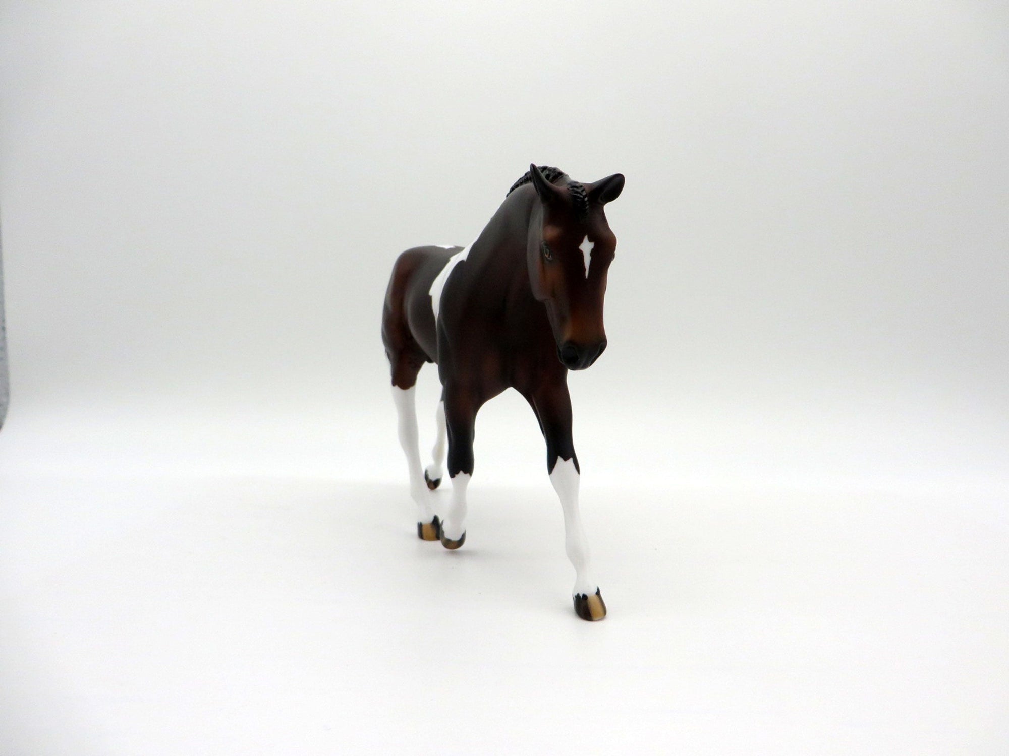 Larkspur-LE-7 Bay Paint Warmblood Pebbles  SHCF 2021