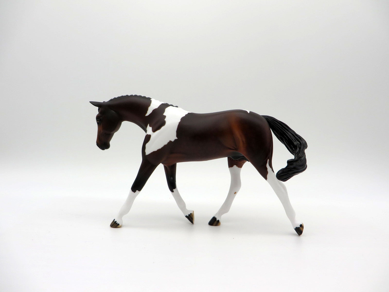 Larkspur-LE-7 Bay Paint Warmblood Pebbles  SHCF 2021