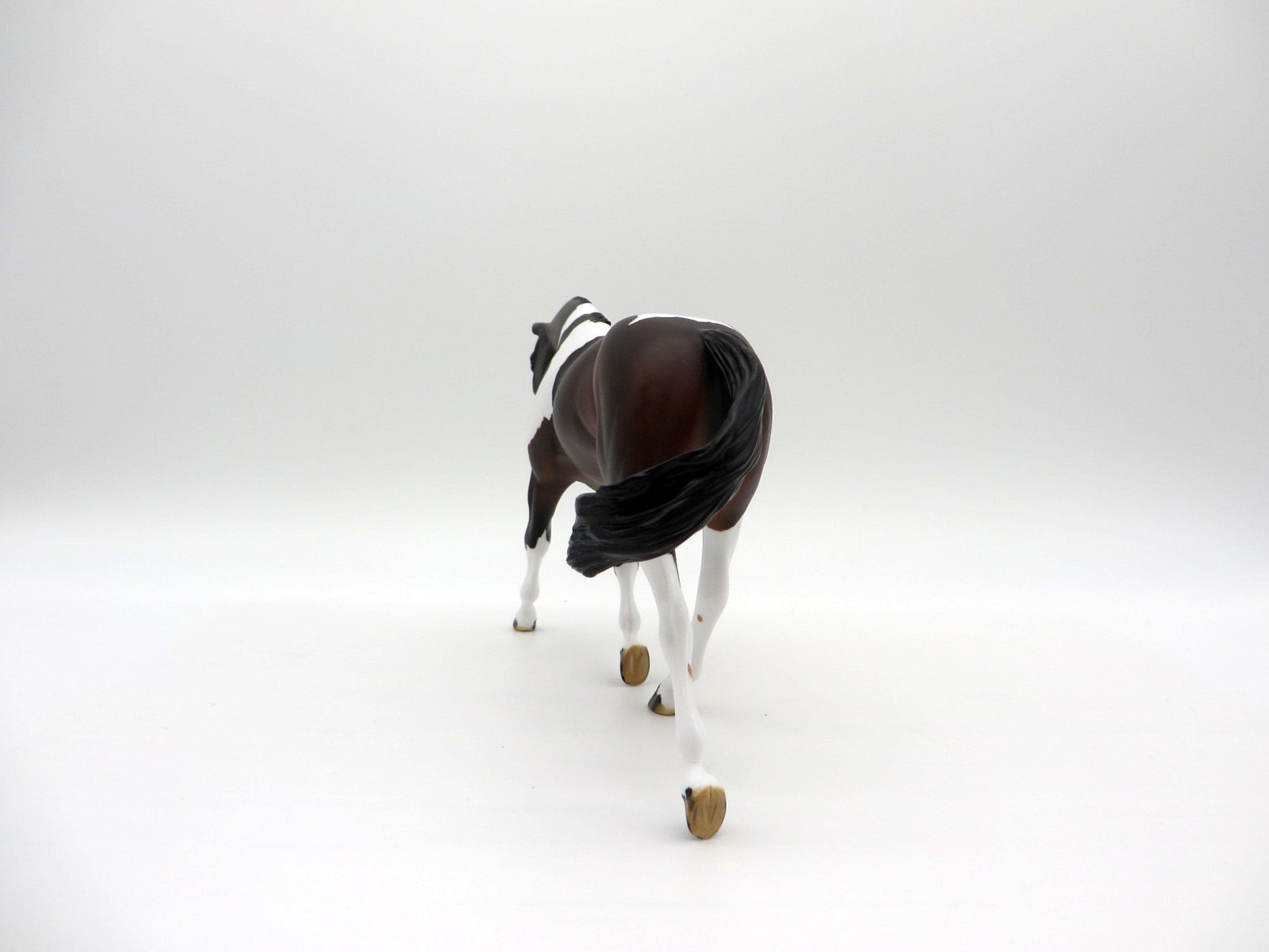 Larkspur-LE-7 Bay Paint Warmblood Pebbles  SHCF 2021