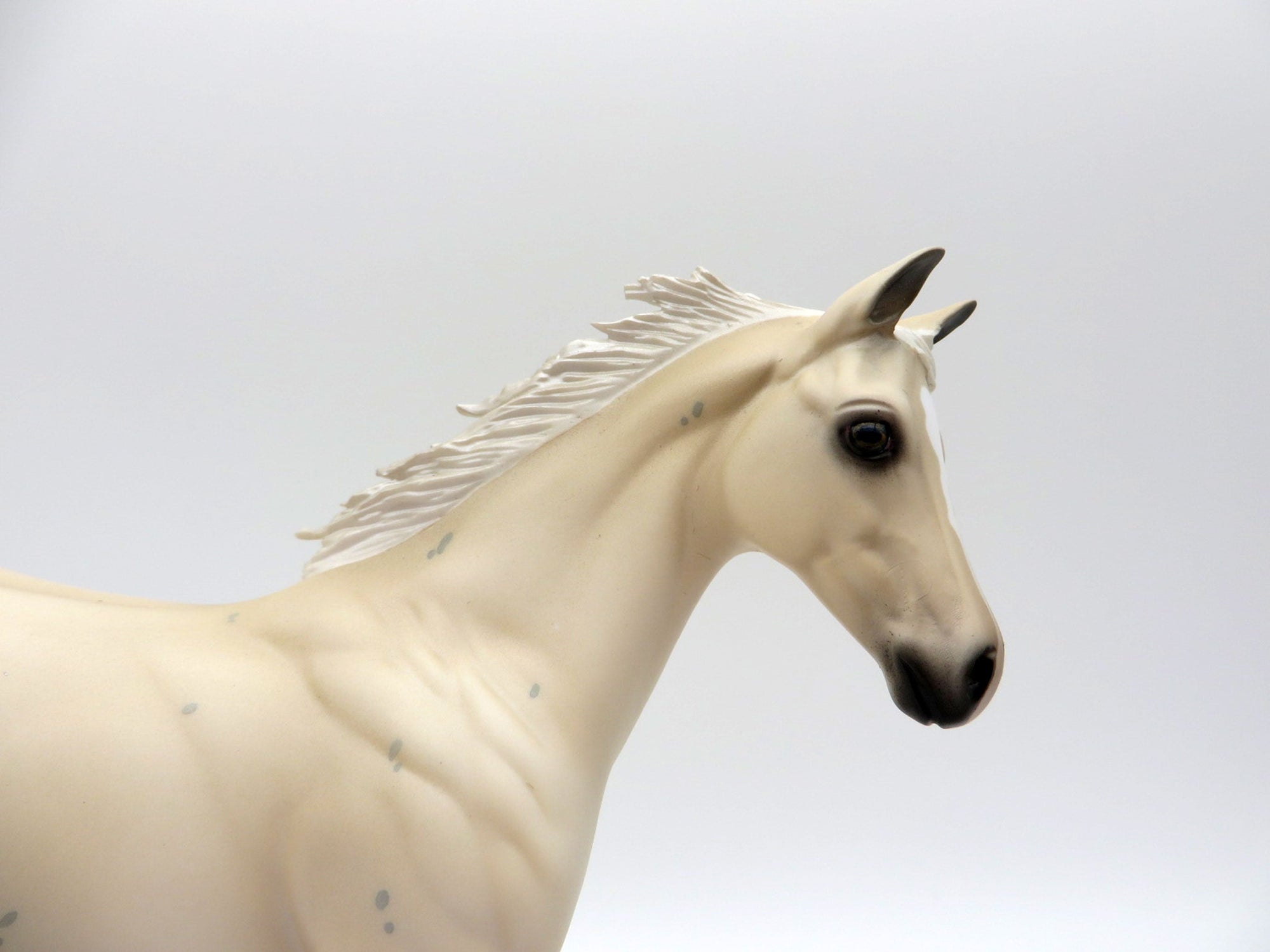 Lark-OOAK Palomino Weanling Painted by Audrey Dixon EQ 21