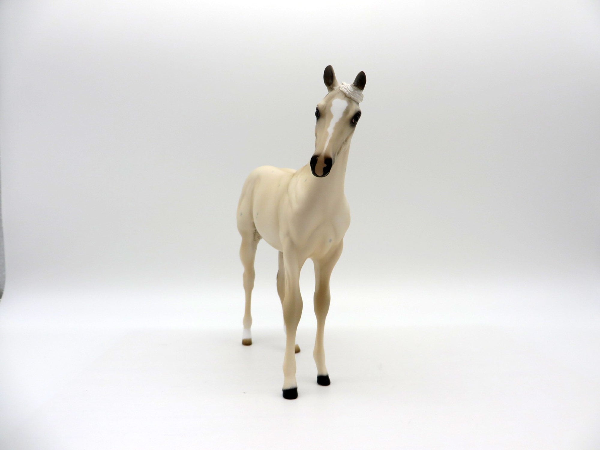 Lark-OOAK Palomino Weanling Painted by Audrey Dixon EQ 21