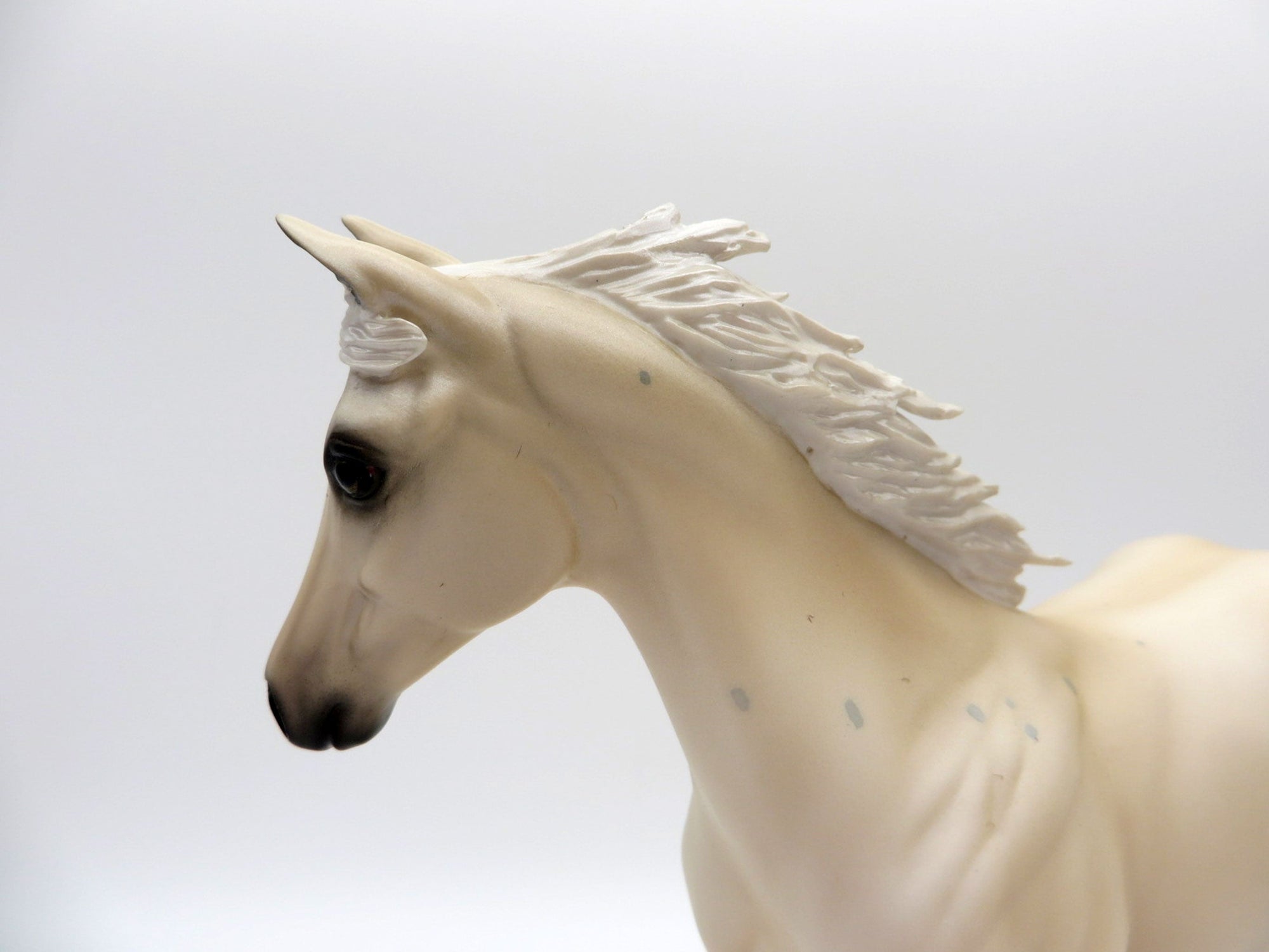 Lark-OOAK Palomino Weanling Painted by Audrey Dixon EQ 21