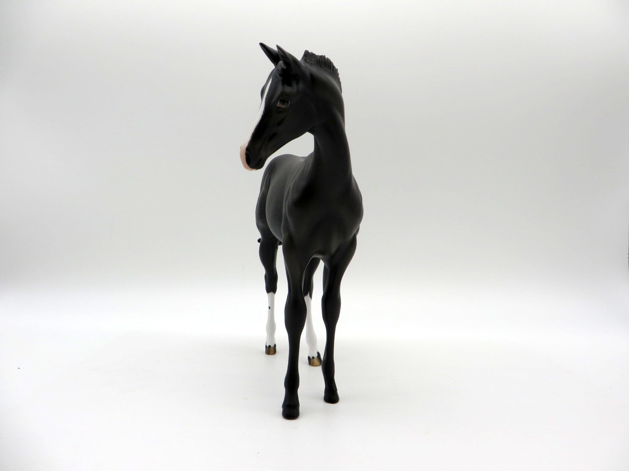 Lass-OOAK Black Weanling Painted by Audrey Dixon 6/11/21