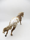 Last Minute Dash - OOAK - Palomino Appaloosa Remington by Jess Hamill - CT22