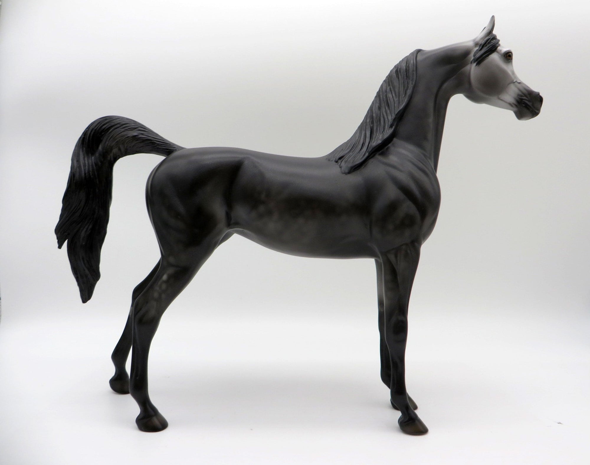 Late Show - LE-8 Dapple Grey Arabian Painted by Ellen Robbins 11/26/21