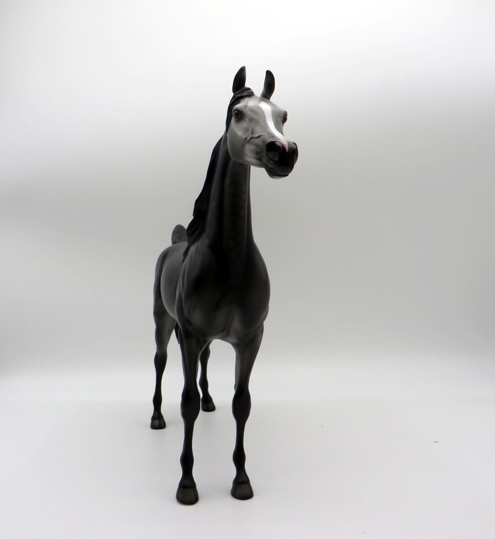 Late Show - LE-8 Dapple Grey Arabian Painted by Ellen Robbins 11/26/21