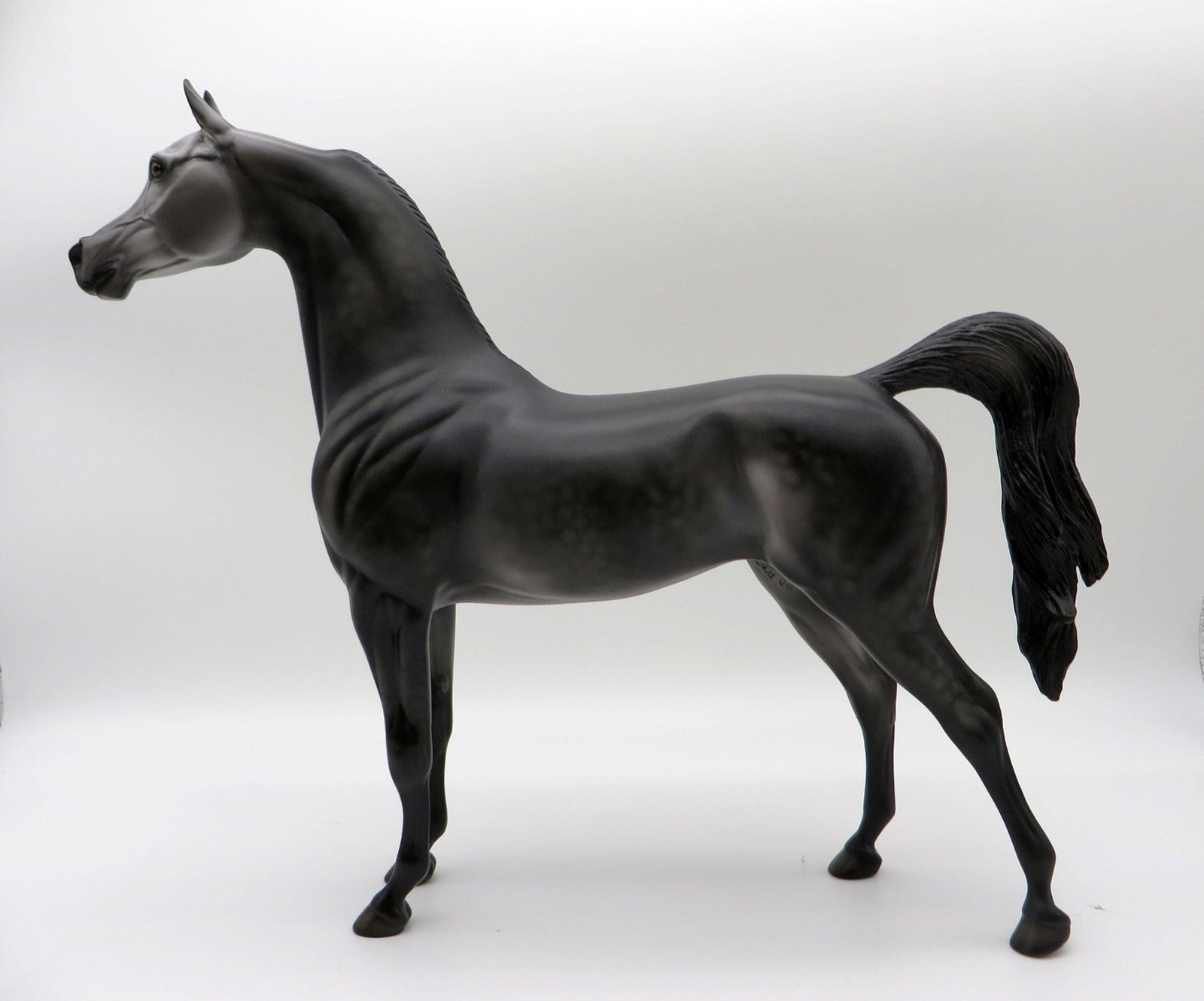 Late Show - LE-8 Dapple Grey Arabian Painted by Ellen Robbins 11/26/21