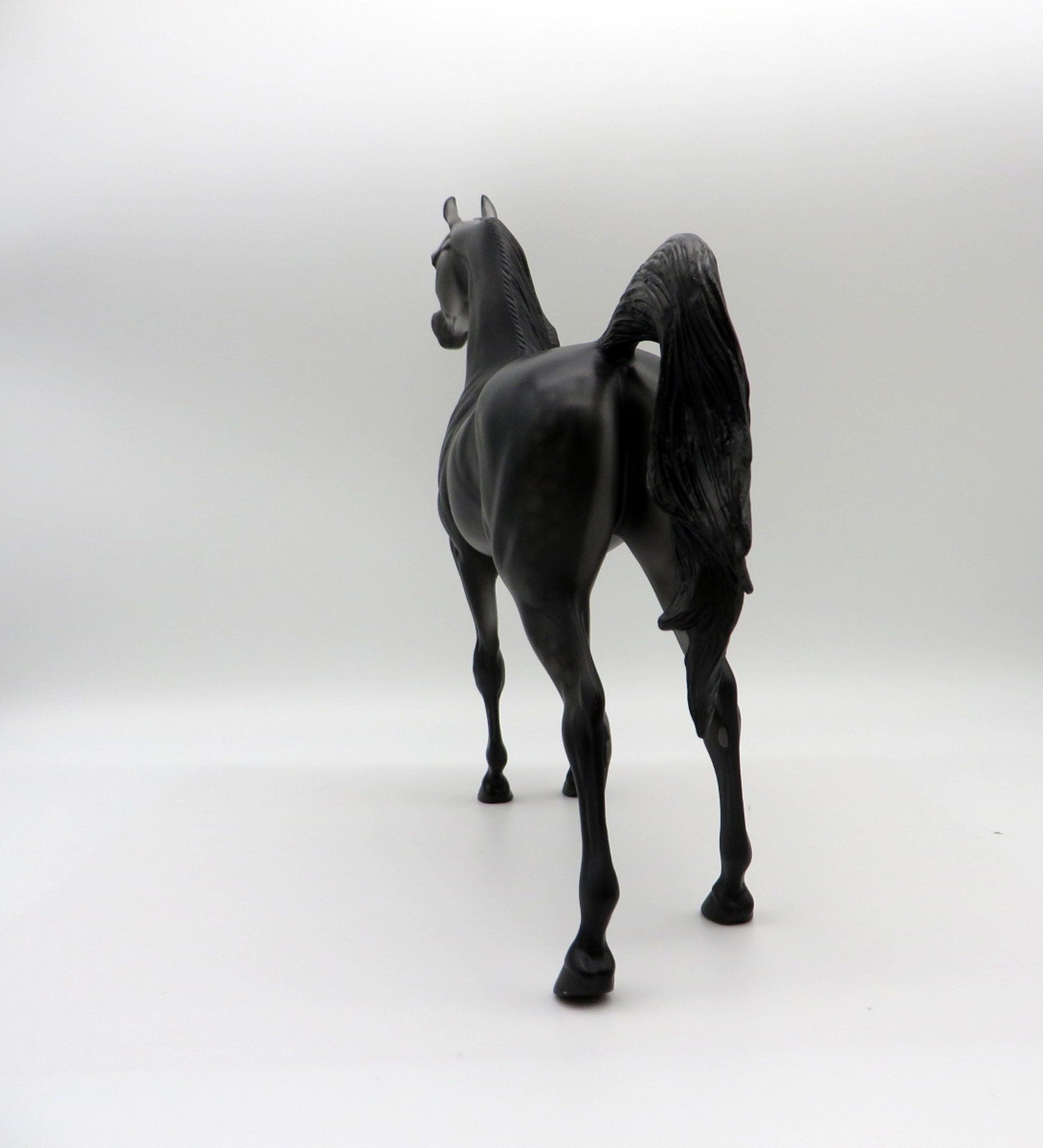 Late Show - LE-8 Dapple Grey Arabian Painted by Ellen Robbins 11/26/21