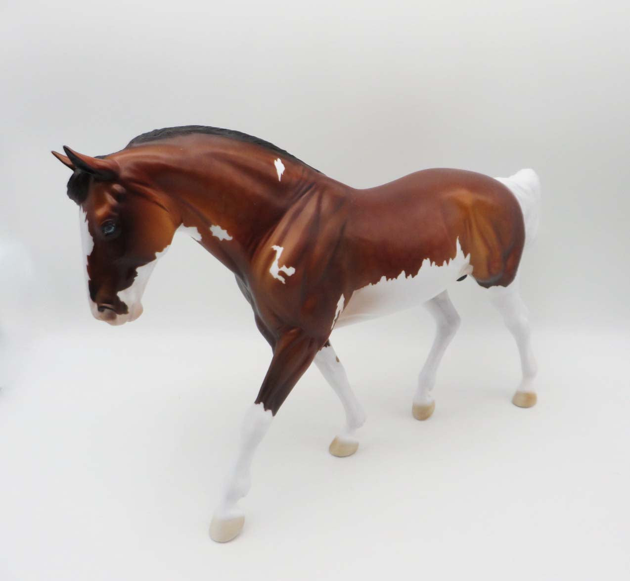 Lautrec - OOAK - Bay Splash Irish Draft By Dawn Quick - Best Offers 4/24/23