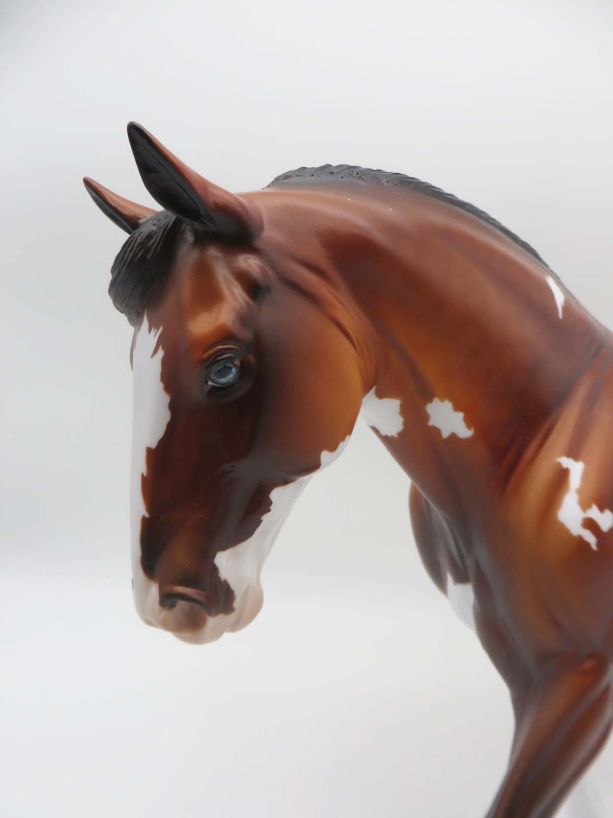 Lautrec - OOAK - Bay Splash Irish Draft By Dawn Quick - Best Offers 4/24/23